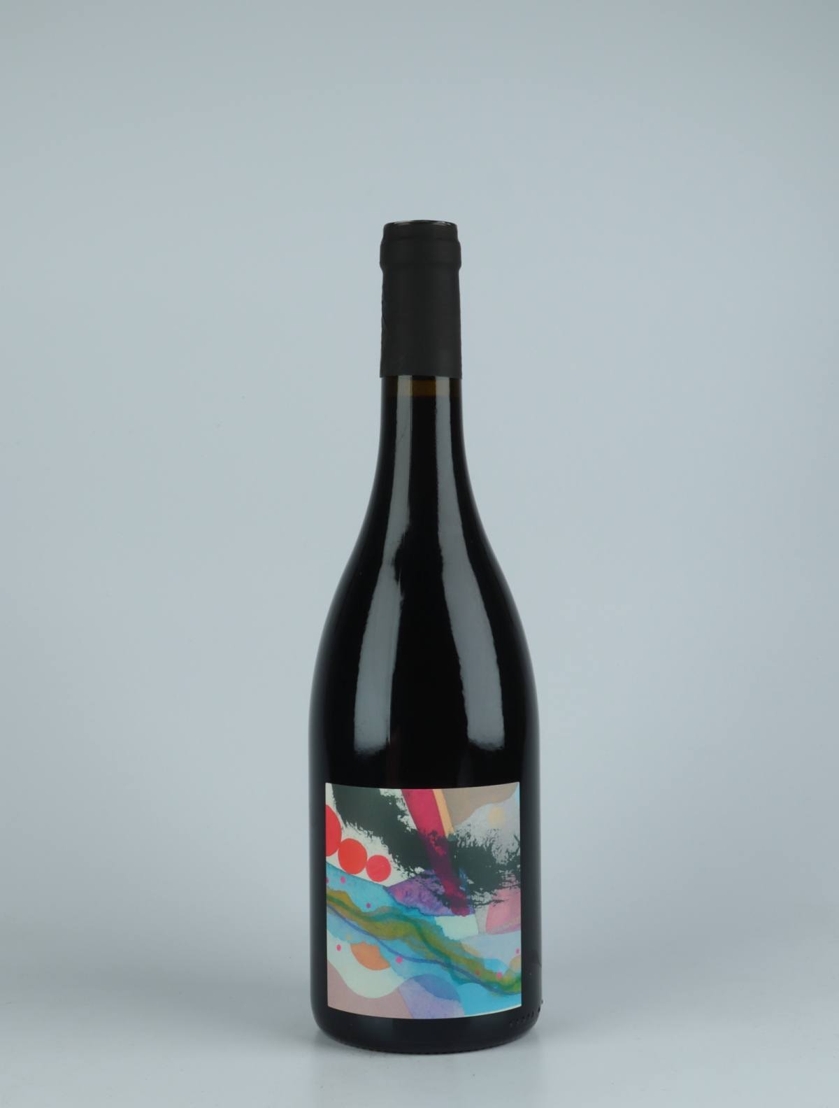 A bottle 2020 Touski Red wine from Patrick Bouju, Auvergne in France