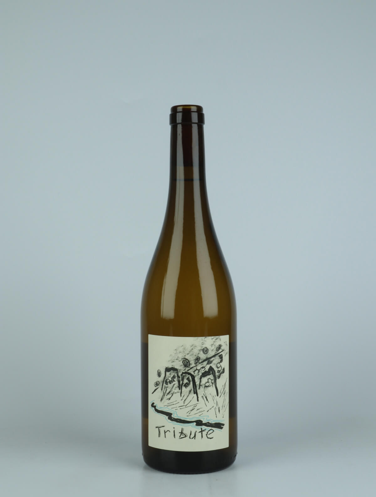 A bottle 2020 Tribute White wine from Complémen'terre, Loire in France