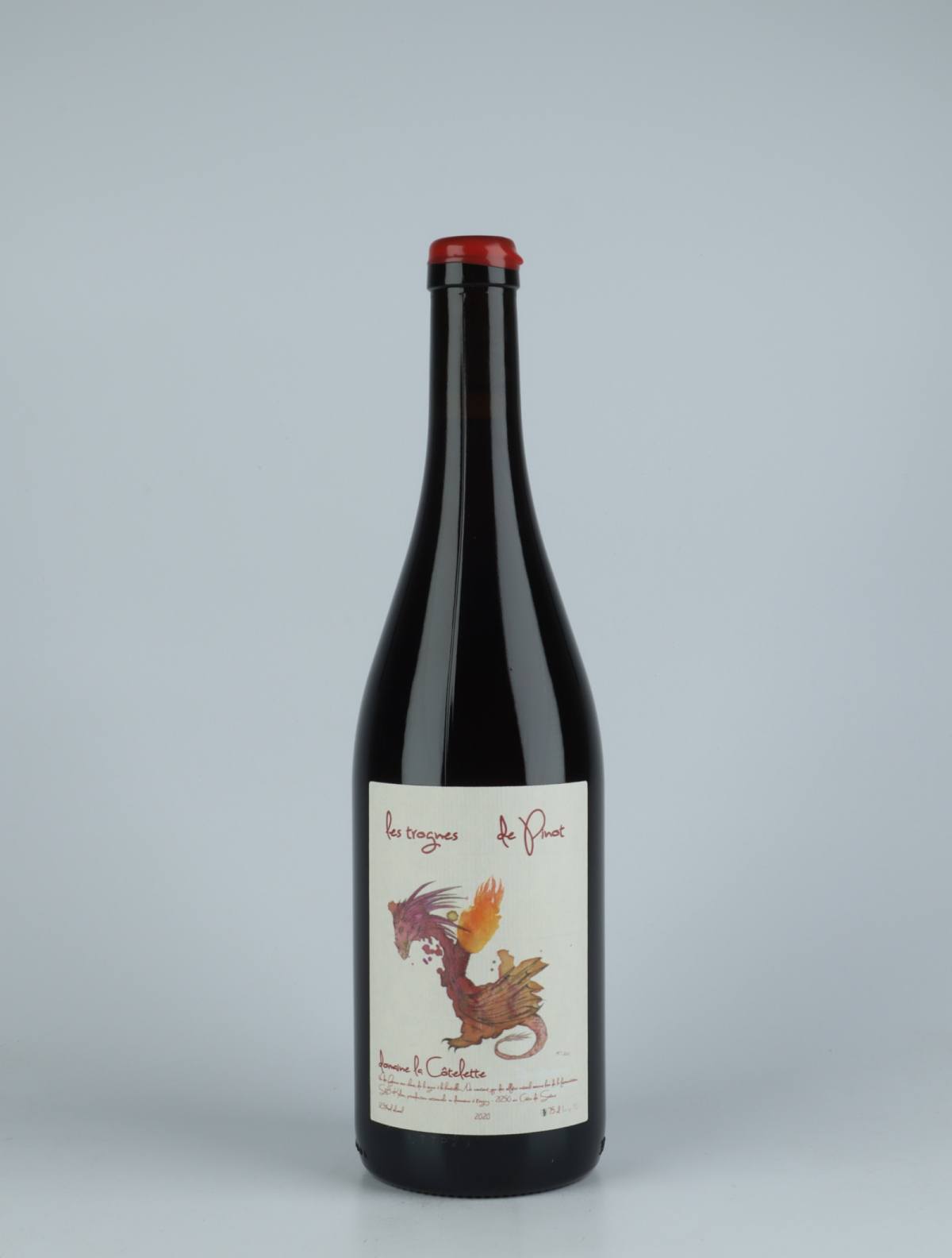 A bottle 2020 Trognes de Pinot Red wine from Domaine La Côtelette, Burgundy in France