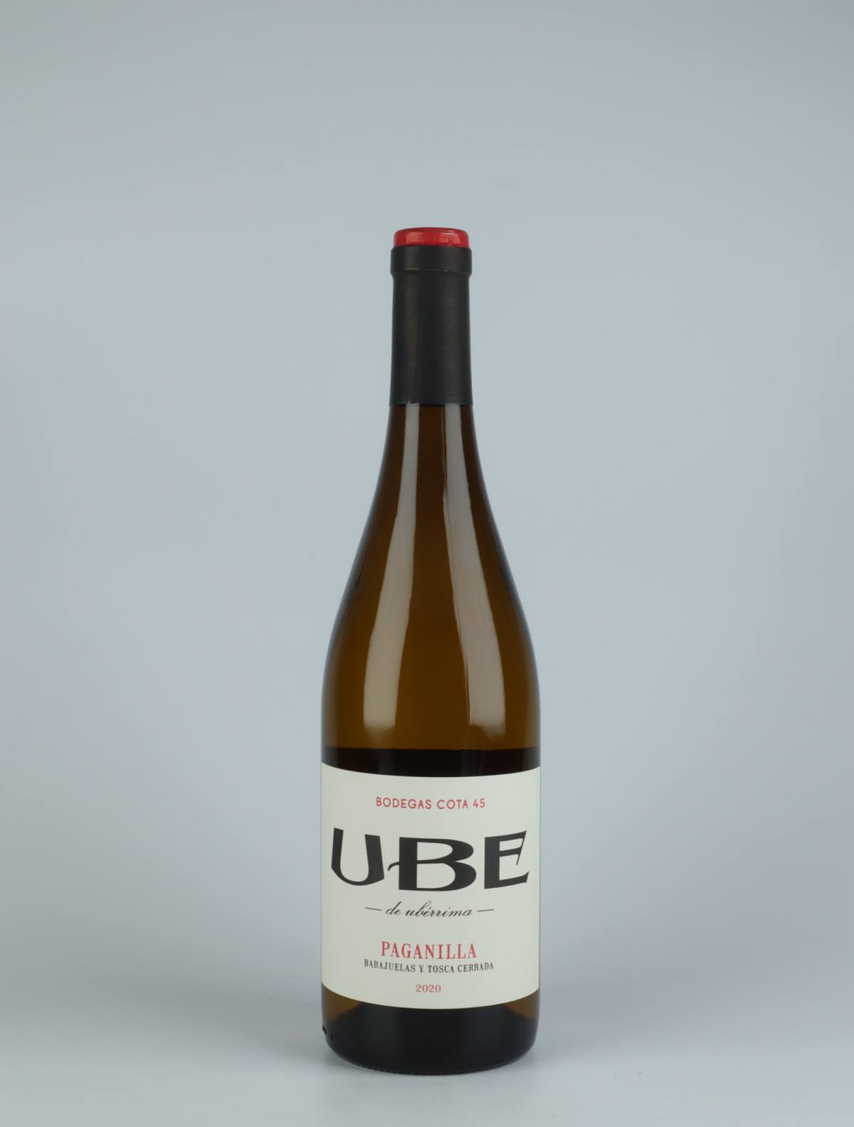 A bottle 2020 UBE Paganilla White wine from Bodegas Cota 45, Andalucia in Spain