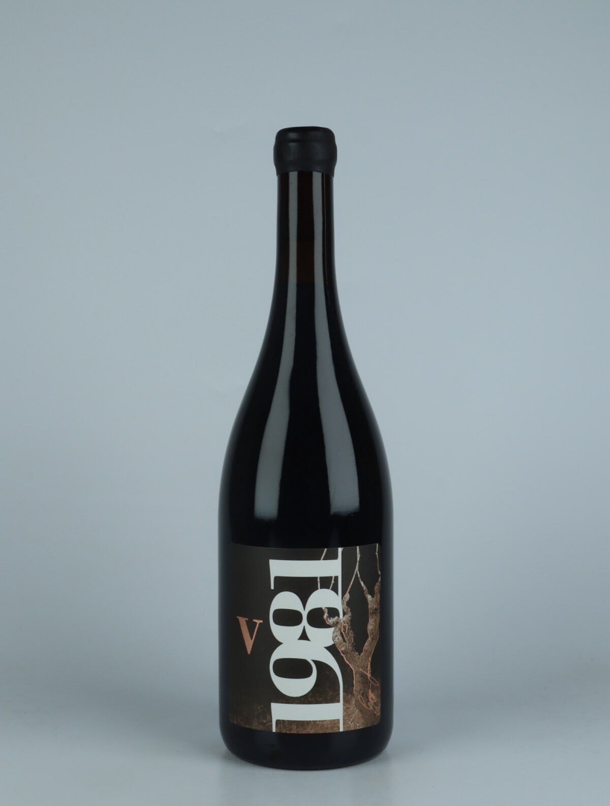 En flaske 2020 Vigna 1981 Rødvin fra Giuseppe Lazzaro, Sicilien i Italien