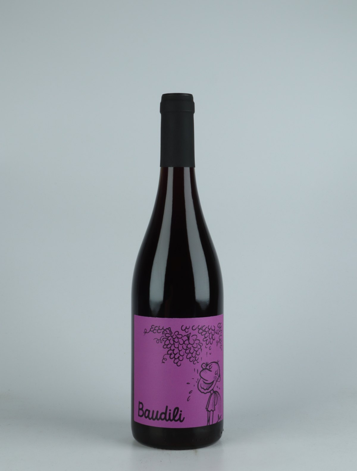 A bottle 2021 Baudili Negre Red wine from Mas Candí, Penedès in Spain