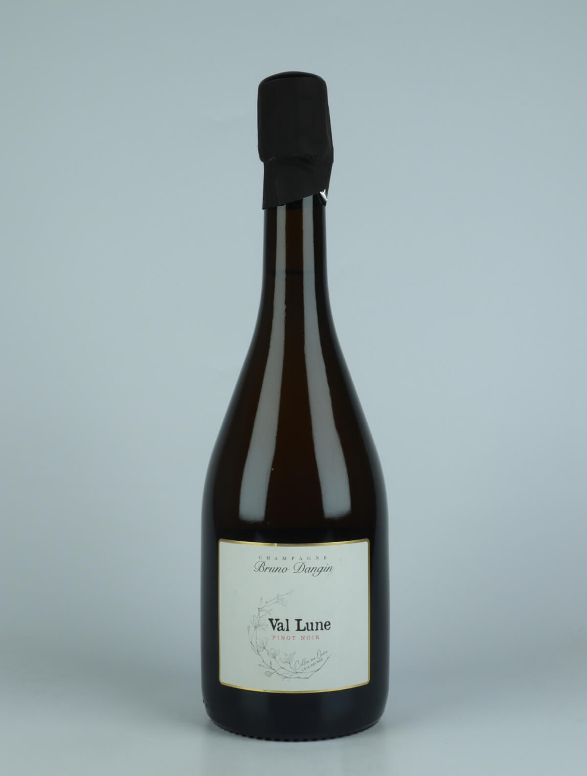 A bottle N.V. (2021) Champagne Val Lune Sparkling from Domaine Bruno Dangin, Champagne in France