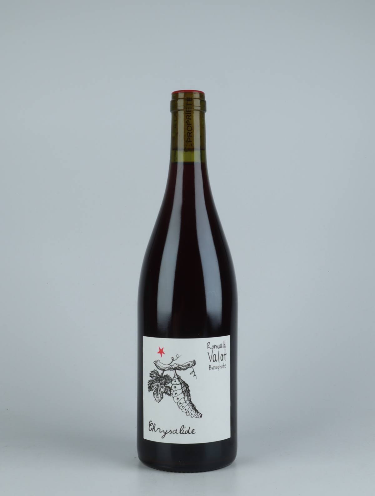 A bottle 2021 Chrysalide Red wine from Romuald Valot, Beaujolais in France