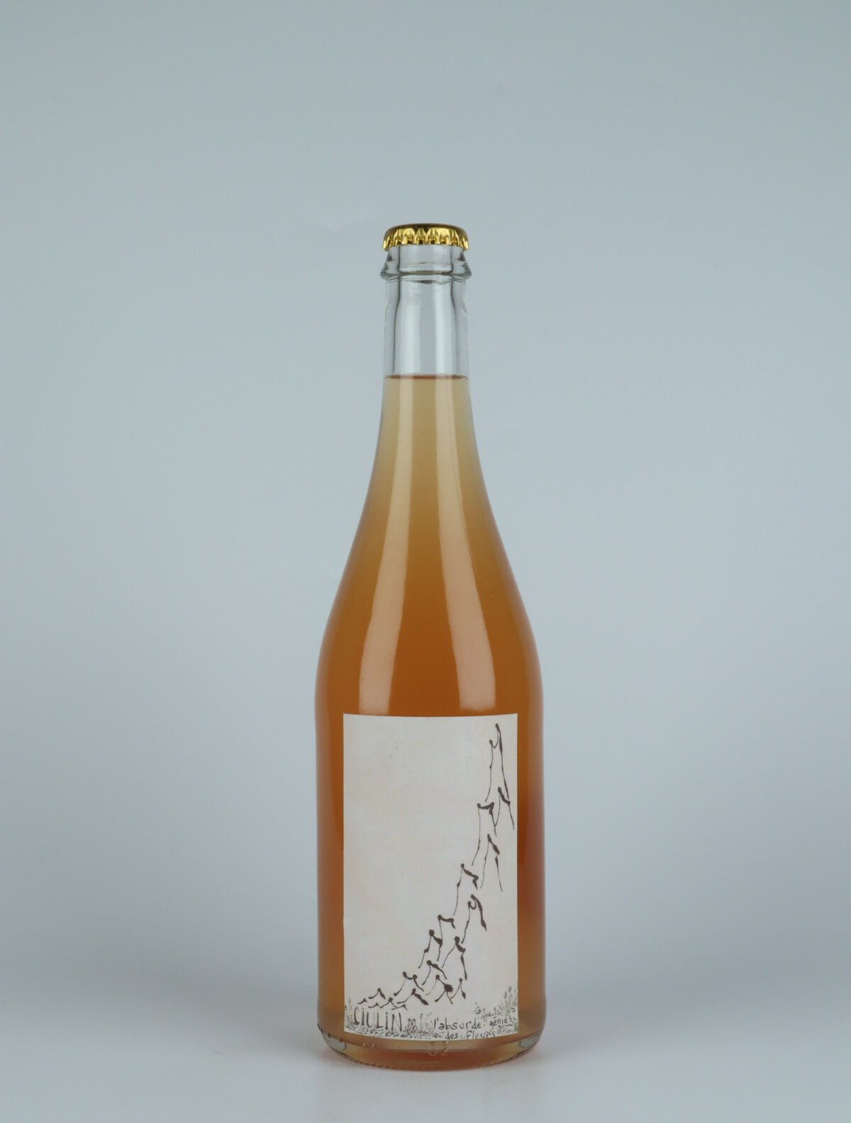 A bottle 2021 Ciulin White wine from Absurde Génie des Fleurs, Languedoc in France