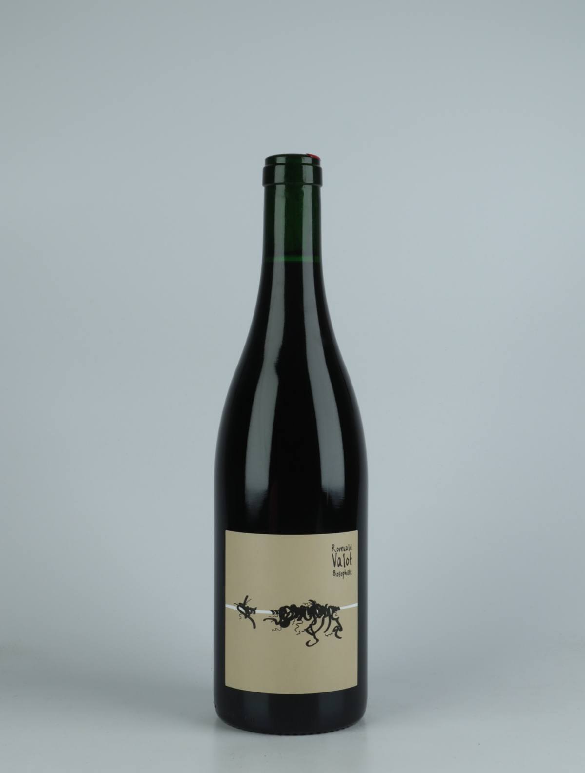 En flaske 2021 Cuvée 21550 - Infusion de Pinot Noir Rødvin fra Romuald Valot, Beaujolais i Frankrig
