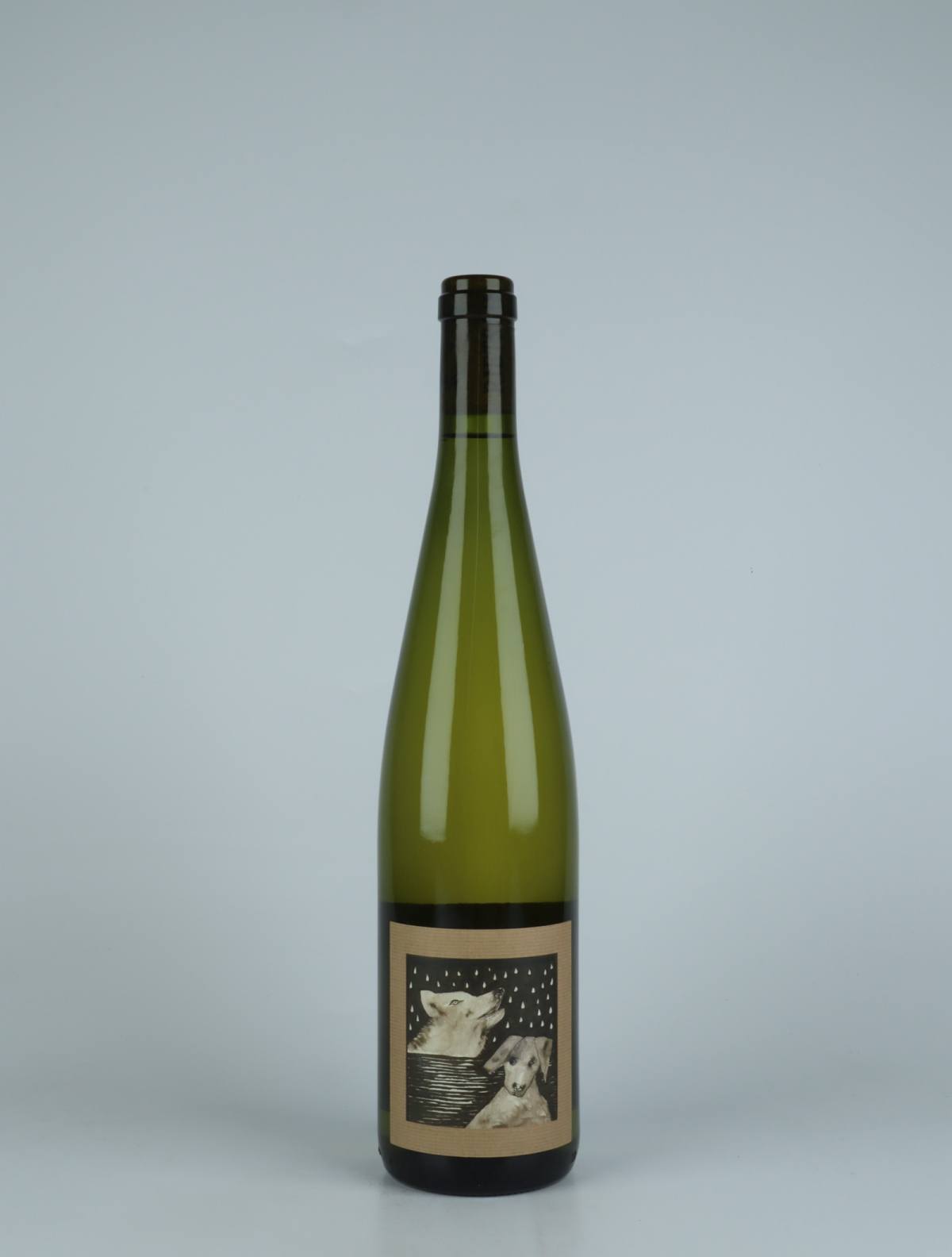 A bottle 2021 Entre Chien et Loup White wine from Domaine Rietsch, Alsace in France