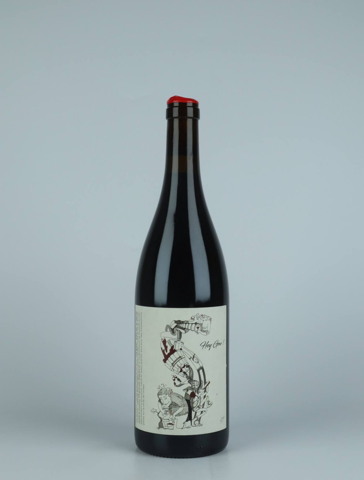 A bottle 2021 Hey Gro!!! Red wine from François Saint-Lô, Loire in France