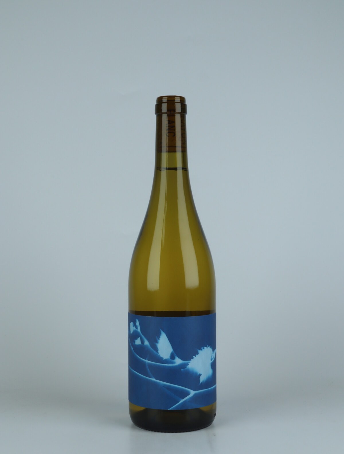 En flaske 2021 Le Rayon Blanc Hvidvin fra Thomas Puéchavy, Loire i Frankrig