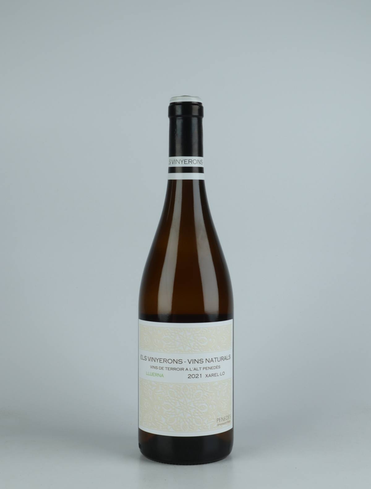 A bottle 2021 Lluerna White wine from Els Vinyerons, Penedès in Spain
