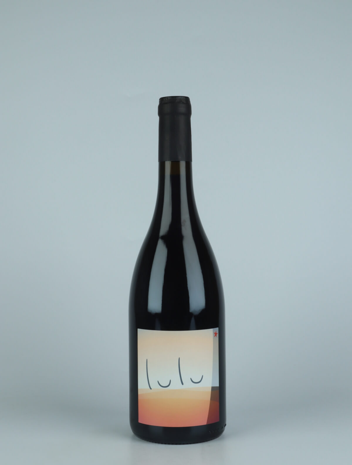 A bottle 2021 Lulu Red wine from Patrick Bouju, Auvergne in France