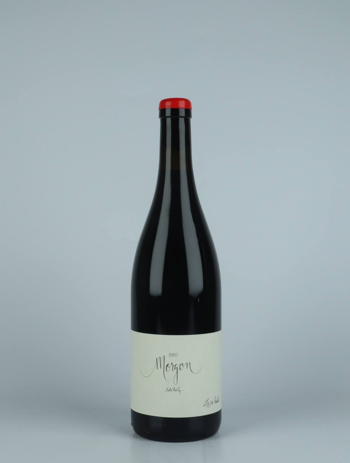 A bottle 2021 Morgon - Côte de Py Red wine from Les En Hauts, Beaujolais in France