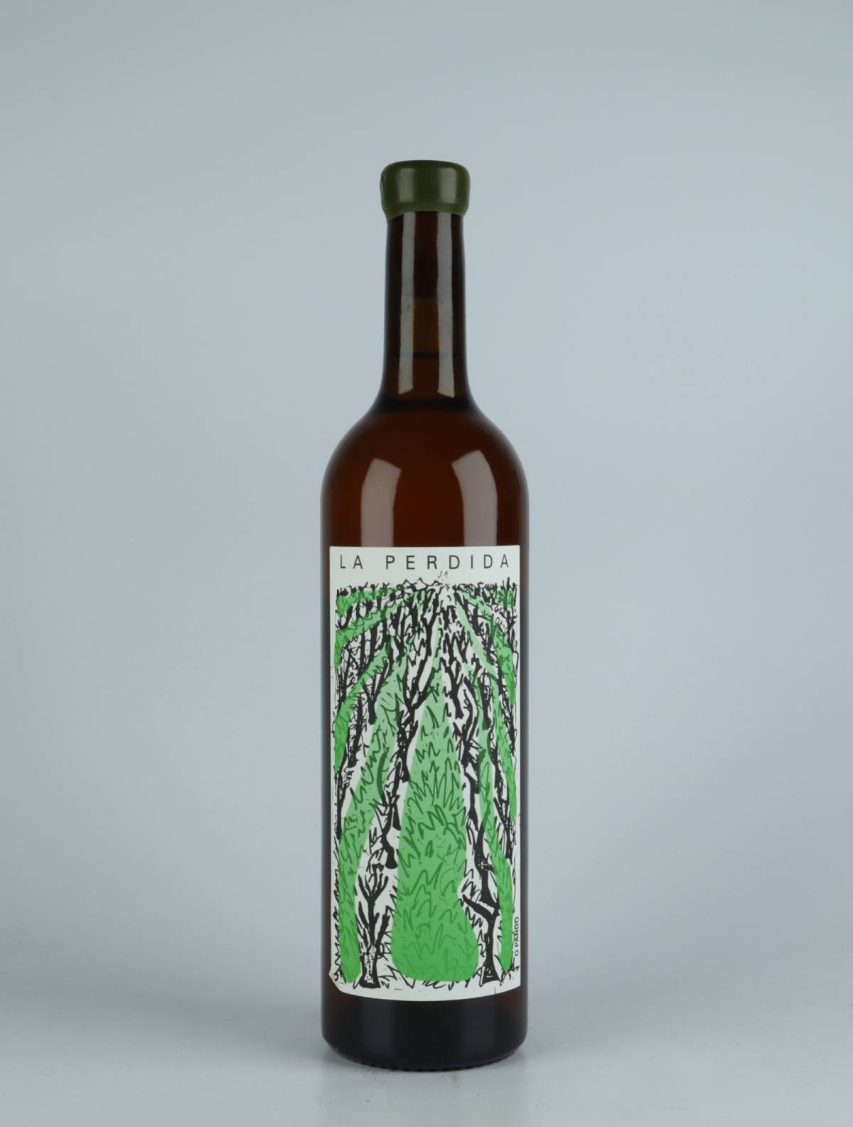 A bottle 2021 O Pando White wine from La Perdida, Ribeira Sacra in Spain