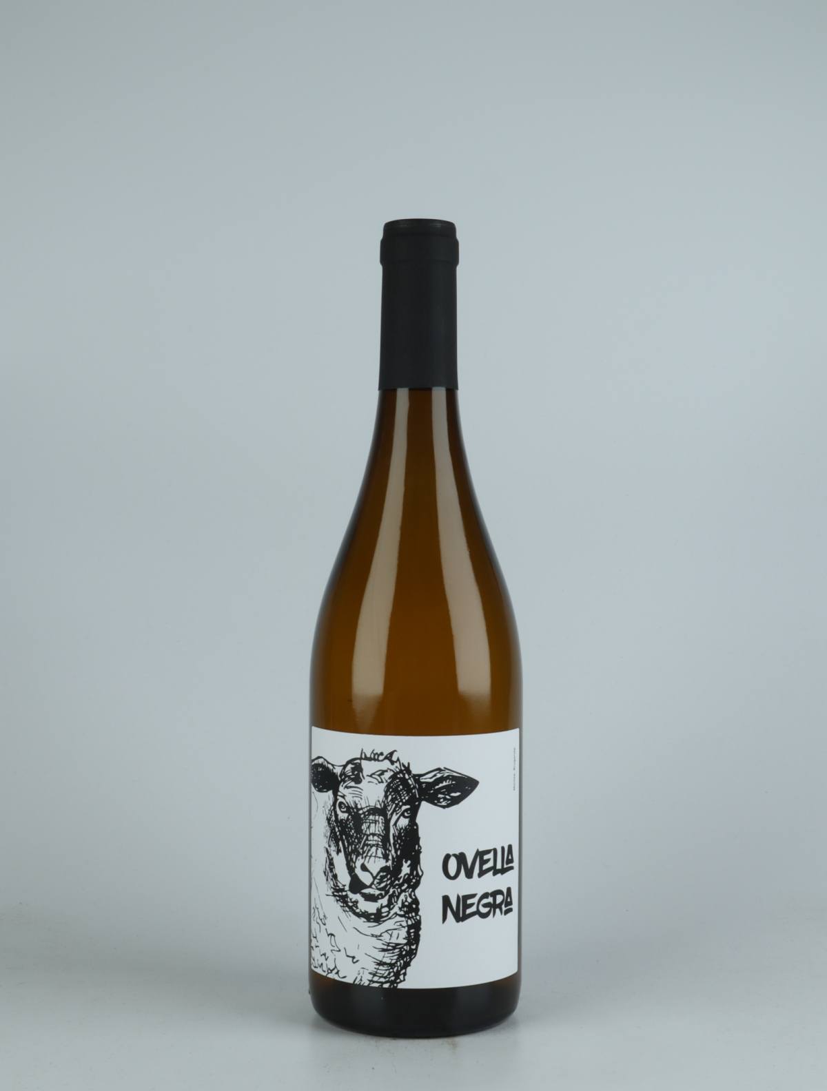 A bottle 2021 Ovella Negra Orange wine from Mas Candí, Penedès in Spain