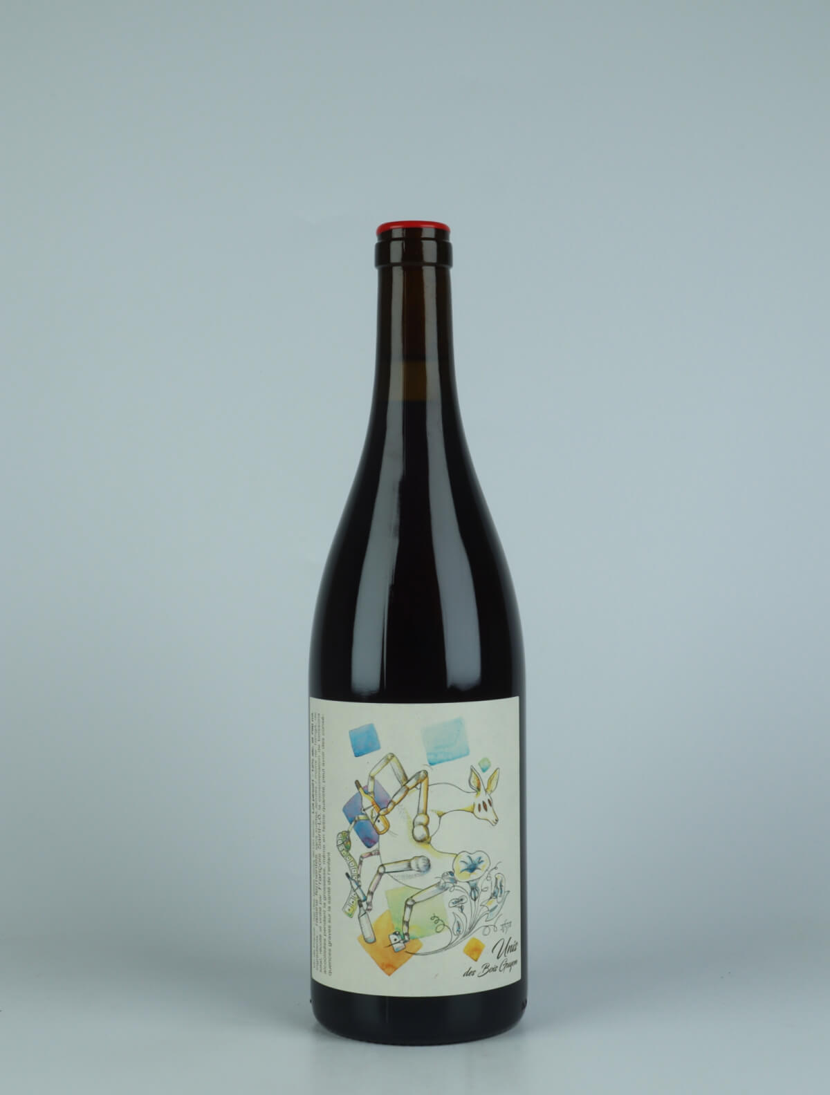 A bottle 2021 Pineau d'Aunis Red wine from François Saint-Lô, Loire in France