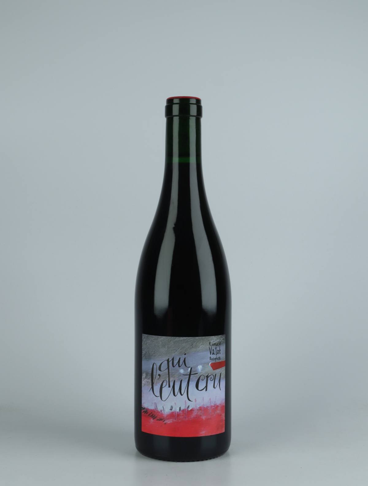 A bottle 2021 Qui l'eut Cru Red wine from Romuald Valot, Beaujolais in France
