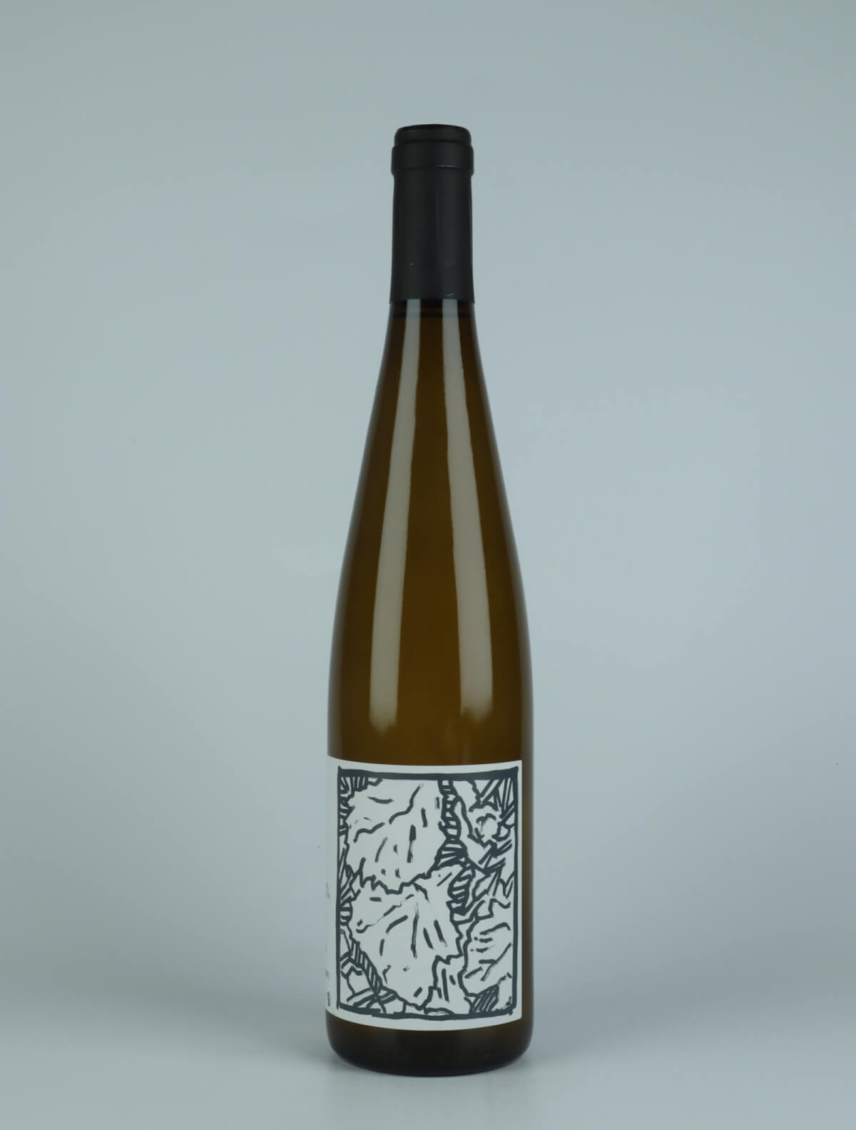 A bottle 2021 Riesling White wine from Domaine Goepp, Alsace in France