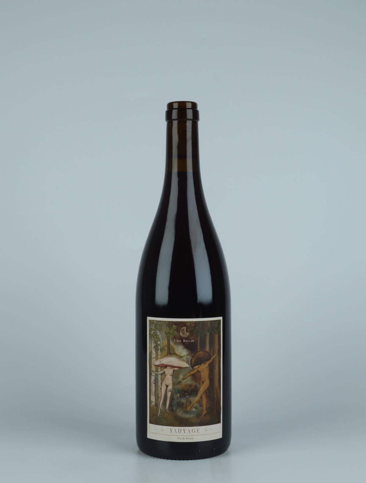 A bottle 2021 Sauvage Red wine from Clos Bateau, Beaujolais in France