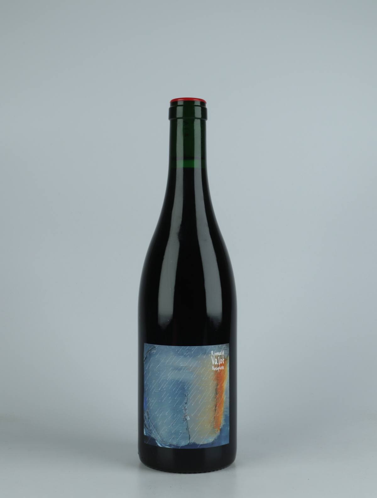 A bottle 2021 Temps de Chien Red wine from Romuald Valot, Beaujolais in France