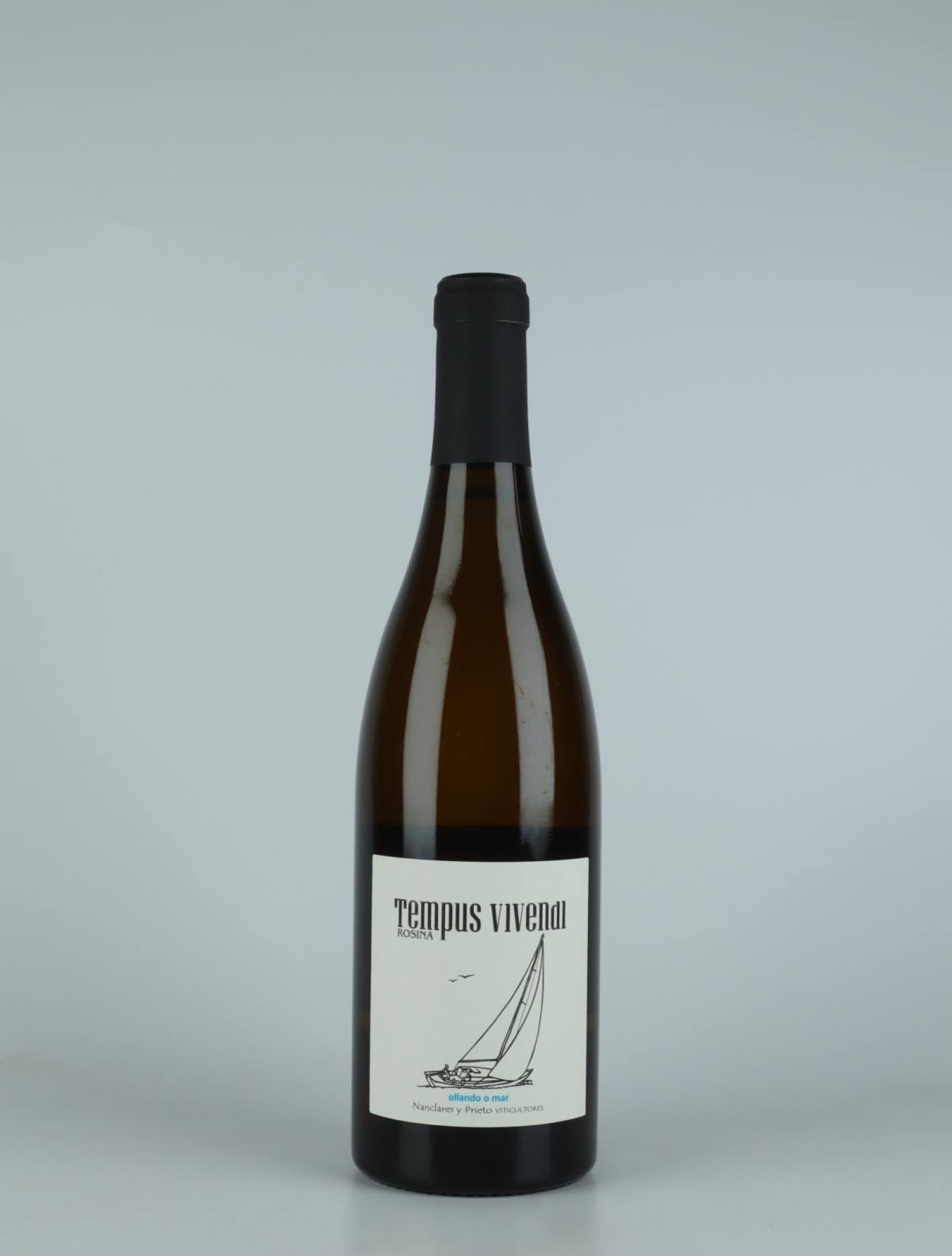 A bottle 2021 Tempus Vivendi White wine from Alberto Nanclares, Rias Baixas in Spain
