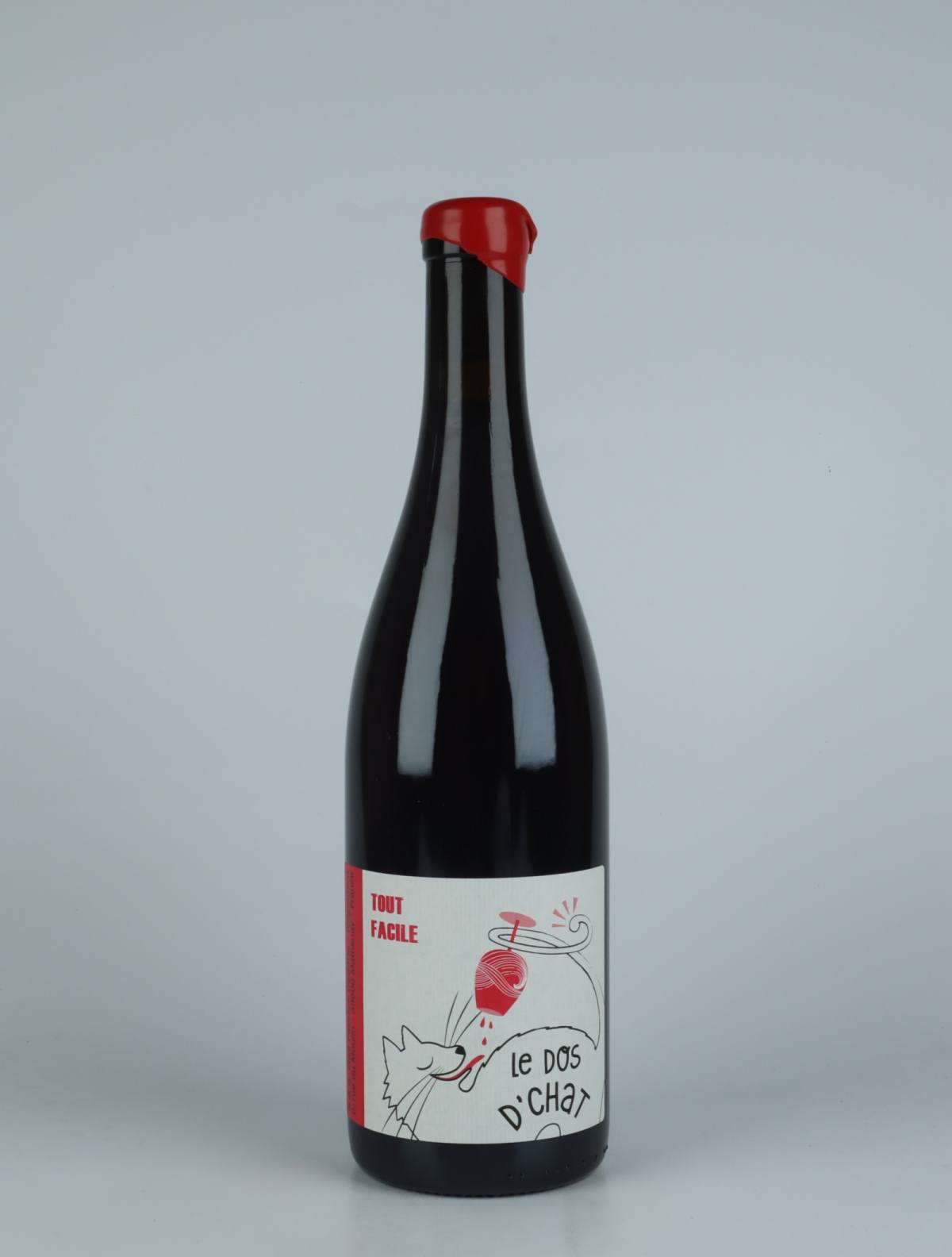 A bottle 2021 Tout Facile Red wine from Fabrice Dodane, Jura in France