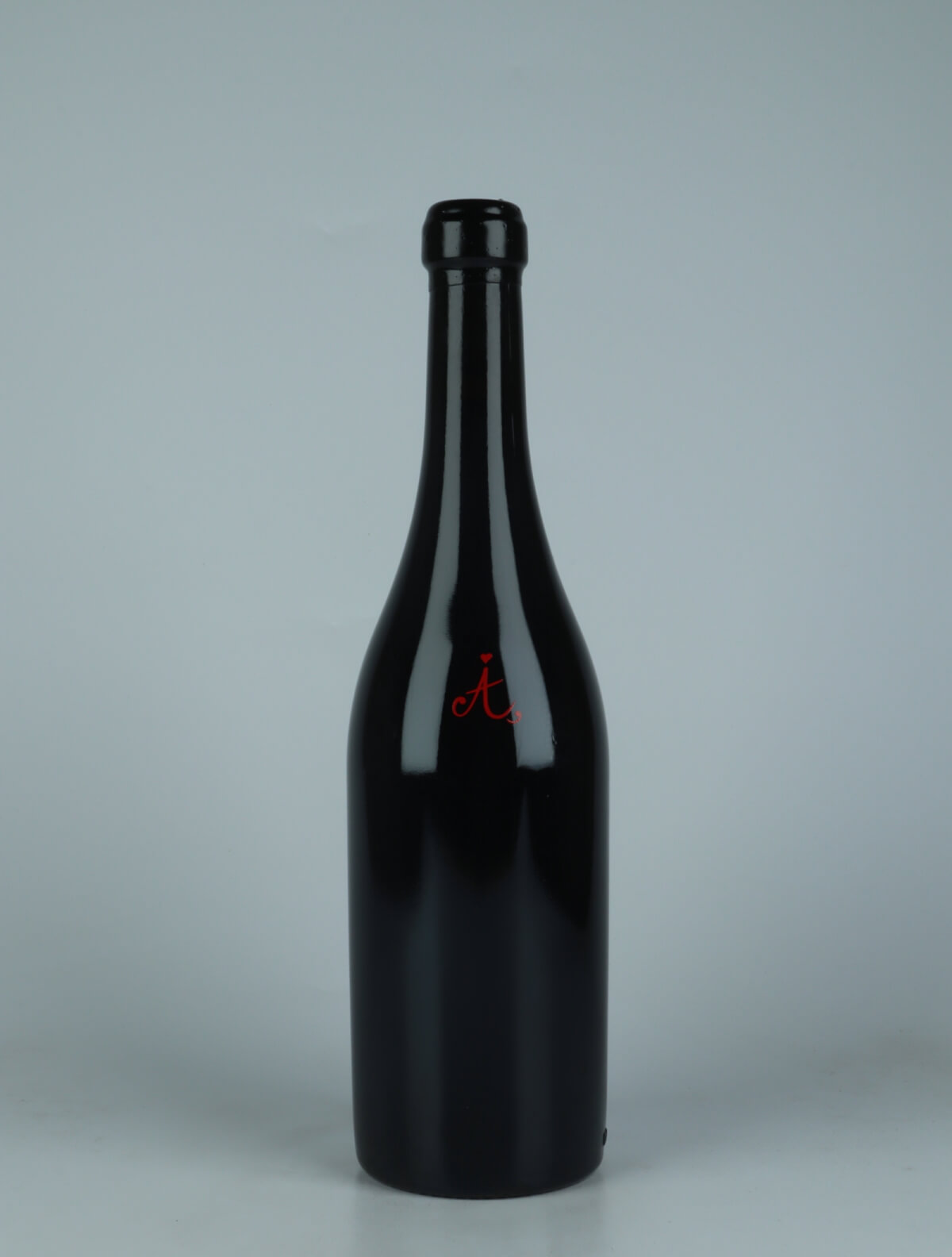 A bottle 2021 Vi Negre Red wine from Els Jelipins, Penedès in Spain