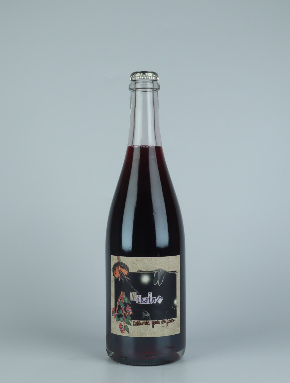 En flaske 2021 Visator Rødvin fra Absurde Génie des Fleurs, Languedoc i Frankrig
