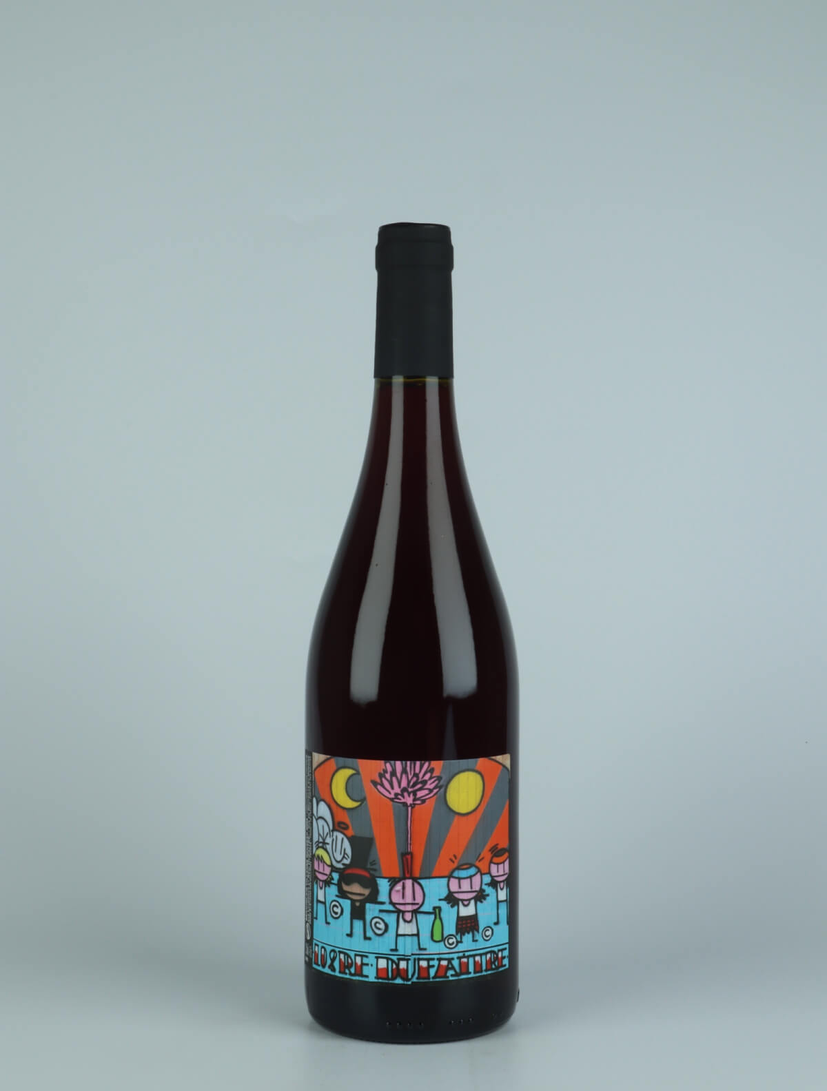 A bottle 2022 Beaujolais Villages Nouveau Red wine from Laurence & Rémi Dufaitre, Beaujolais in France