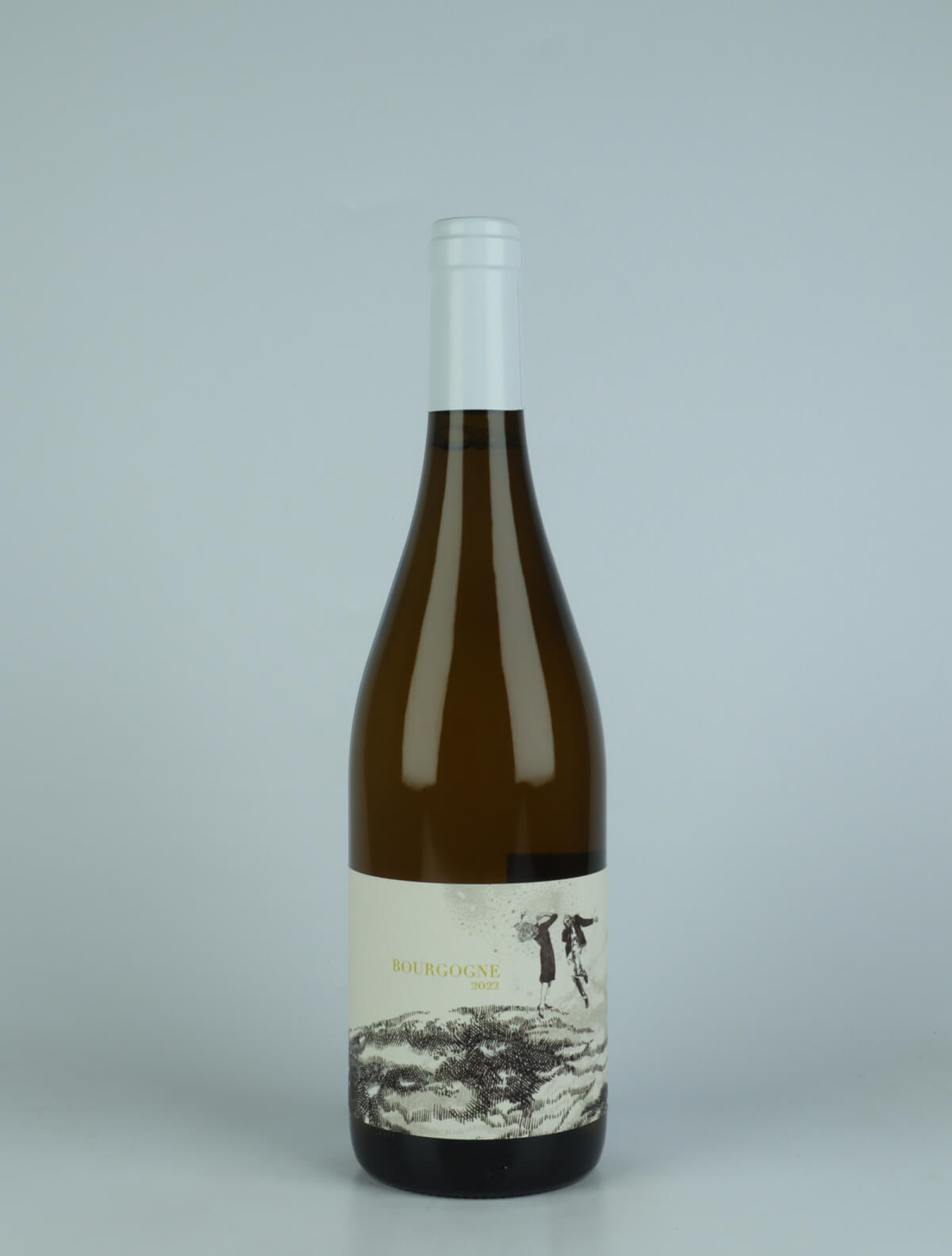En flaske 2022 Bourgogne Blanc Hvidvin fra Domaine Didon, Bourgogne i Frankrig