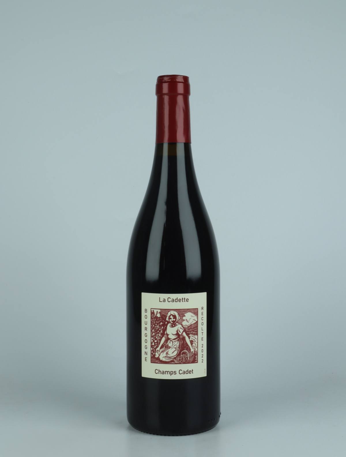 A bottle 2022 Bourgogne Rouge - Champs Cadet Red wine from Domaine de la Cadette, Burgundy in France