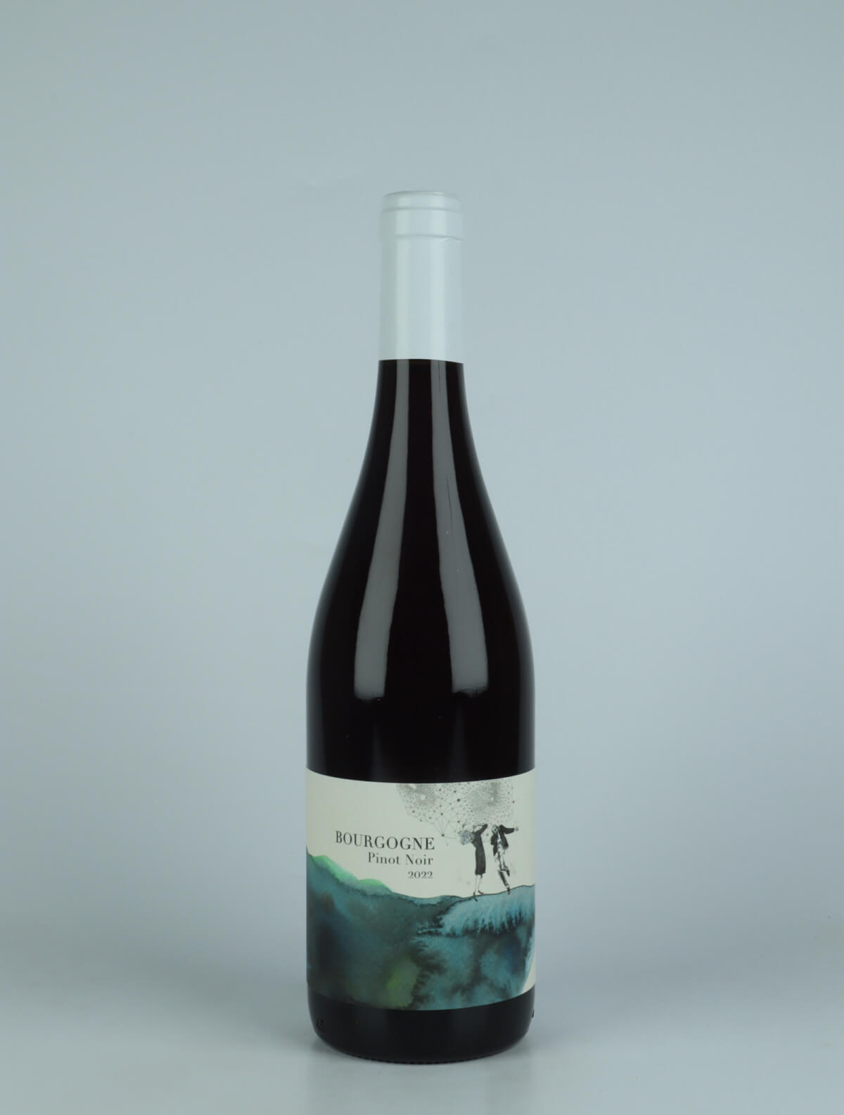 En flaske 2022 Bourgogne Pinot Noir Rødvin fra Domaine Didon, Bourgogne i Frankrig