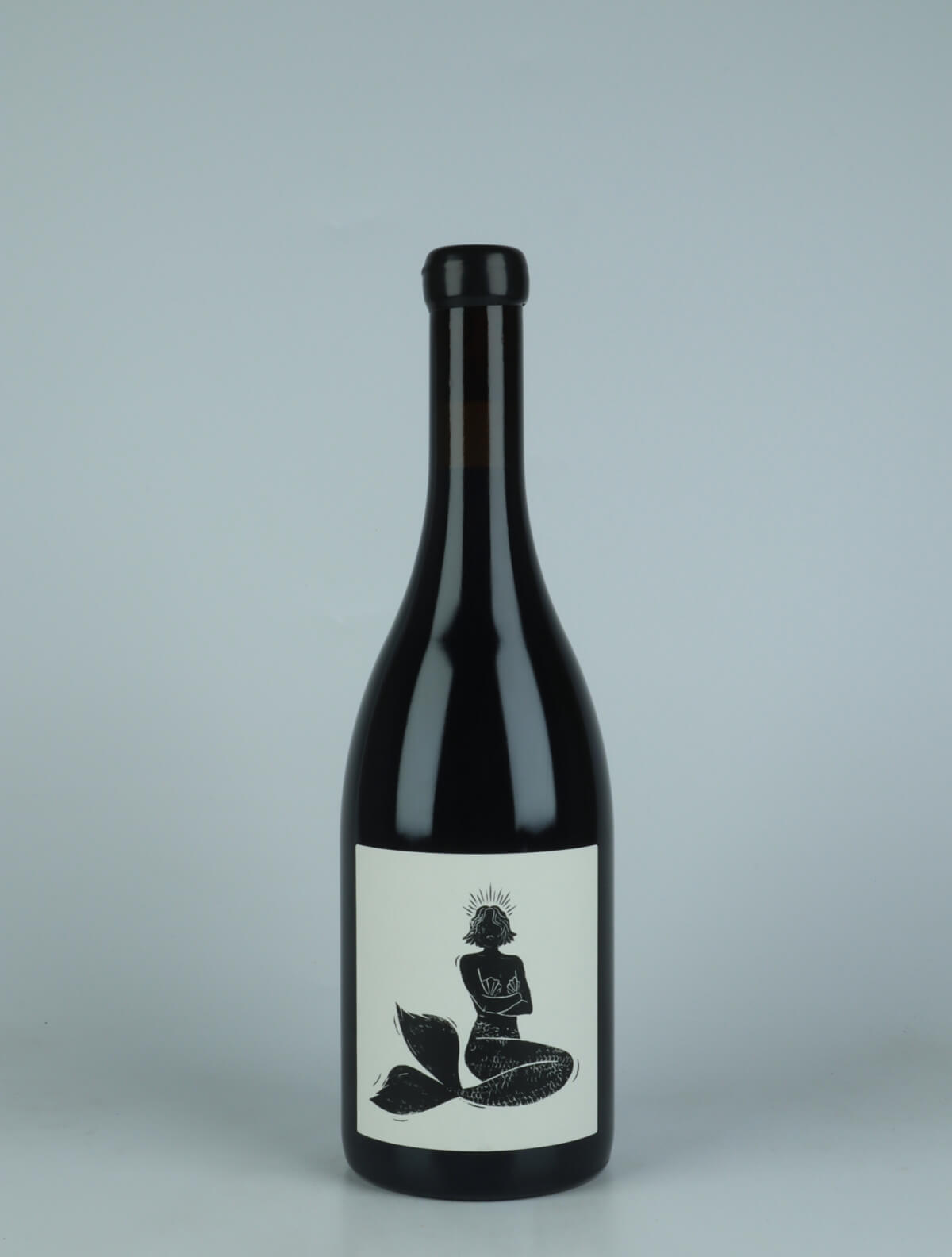 A bottle 2022 Bourgogne Rouge - 