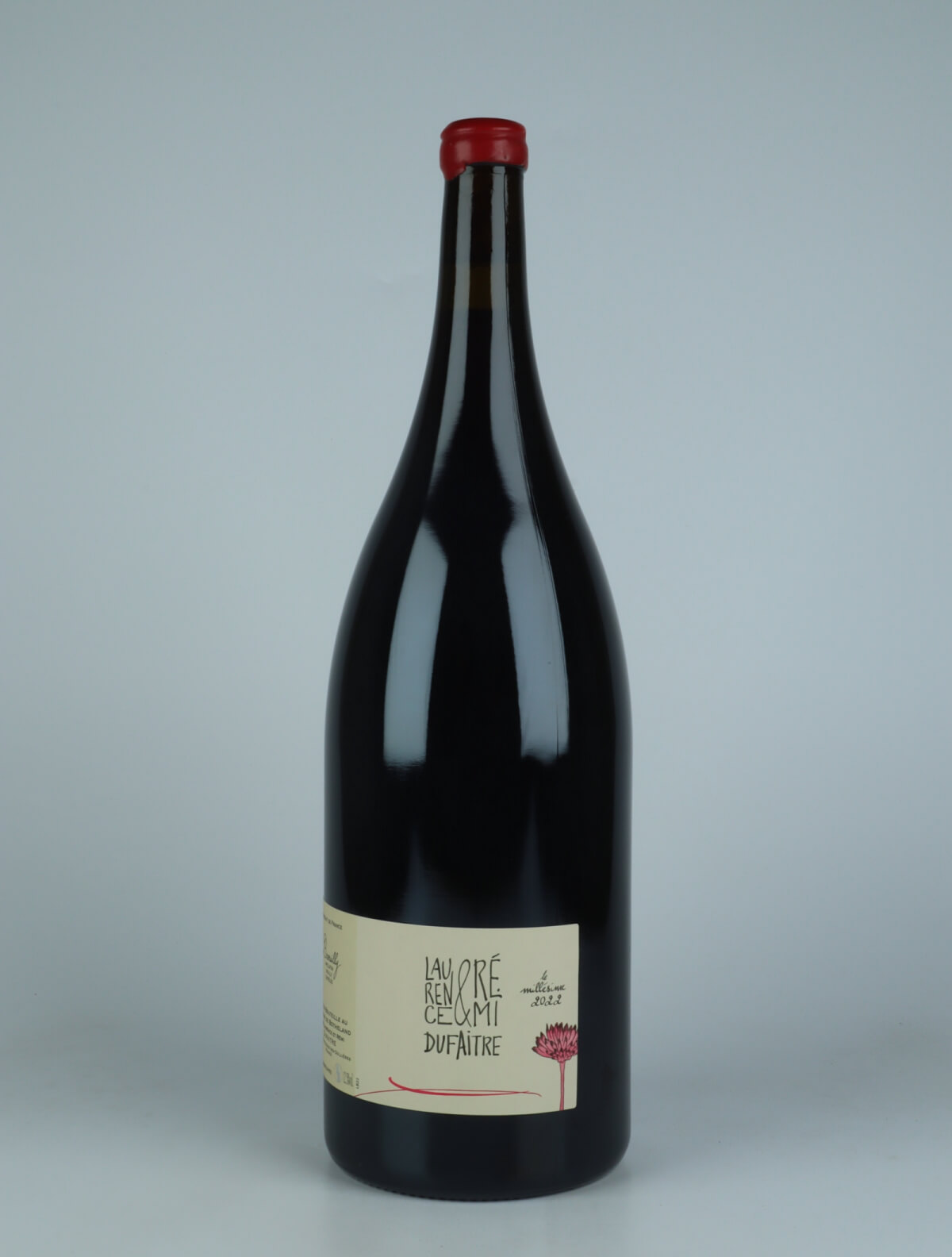 En flaske 2022 Brouilly Rødvin fra Laurence & Rémi Dufaitre, Beaujolais i Frankrig