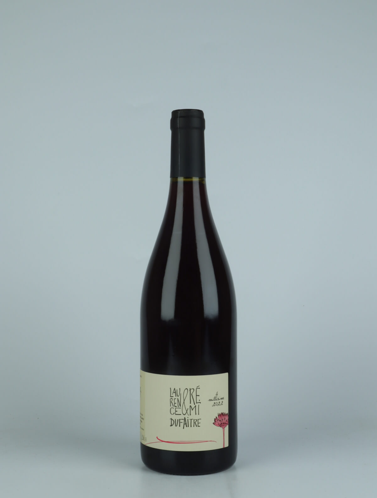 A bottle 2022 Brouilly Red wine from Laurence & Rémi Dufaitre, Beaujolais in France
