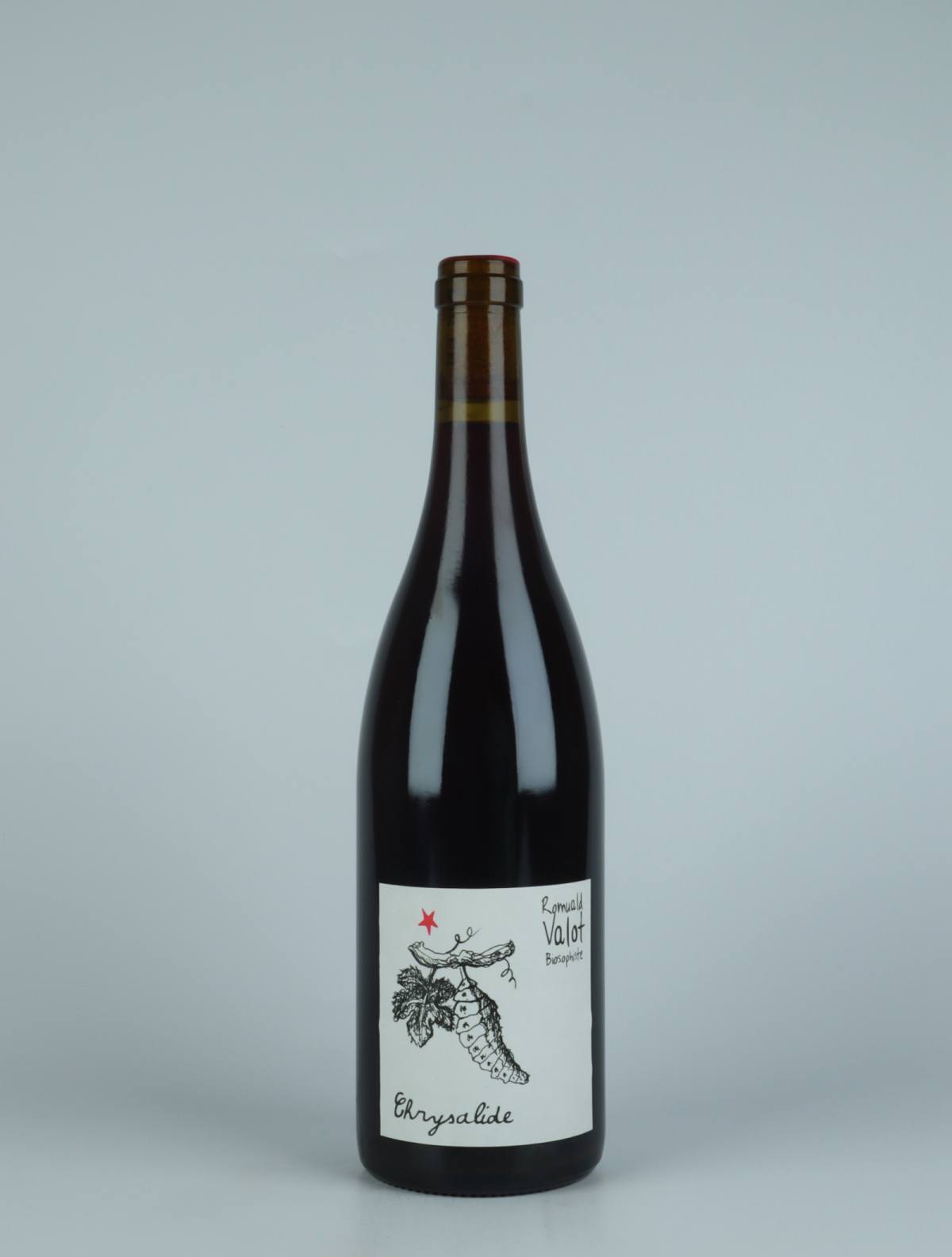 En flaske 2022 Chrysalide Rødvin fra Romuald Valot, Beaujolais i Frankrig