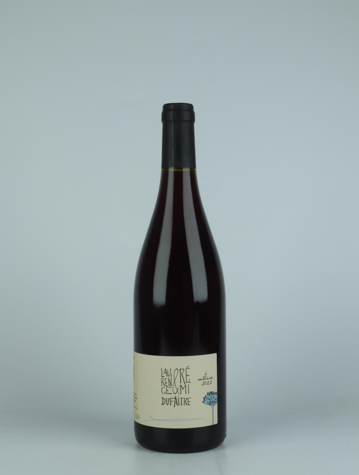 A bottle 2022 Côte de Brouilly Red wine from Laurence & Rémi Dufaitre, Beaujolais in France