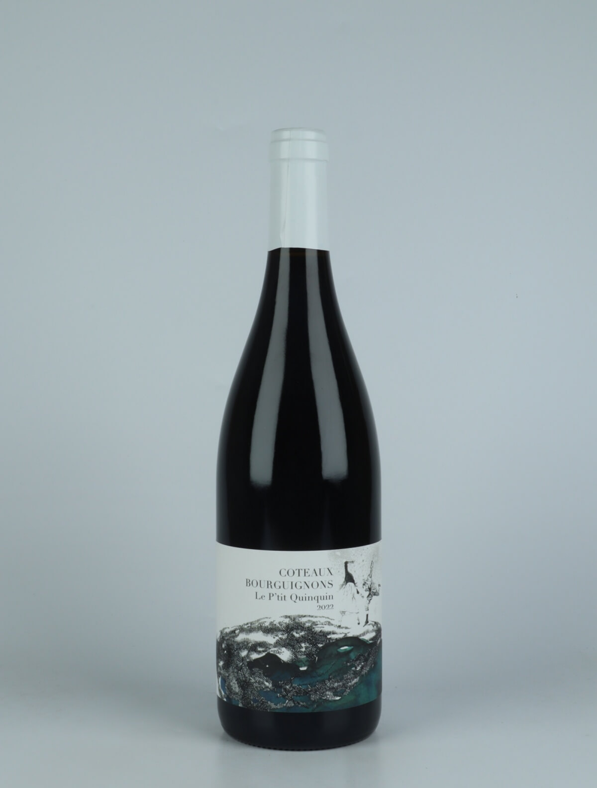 A bottle 2022 Coteaux Bourguignons - Le P'tit Quiquin Red wine from Domaine Didon, Burgundy in France