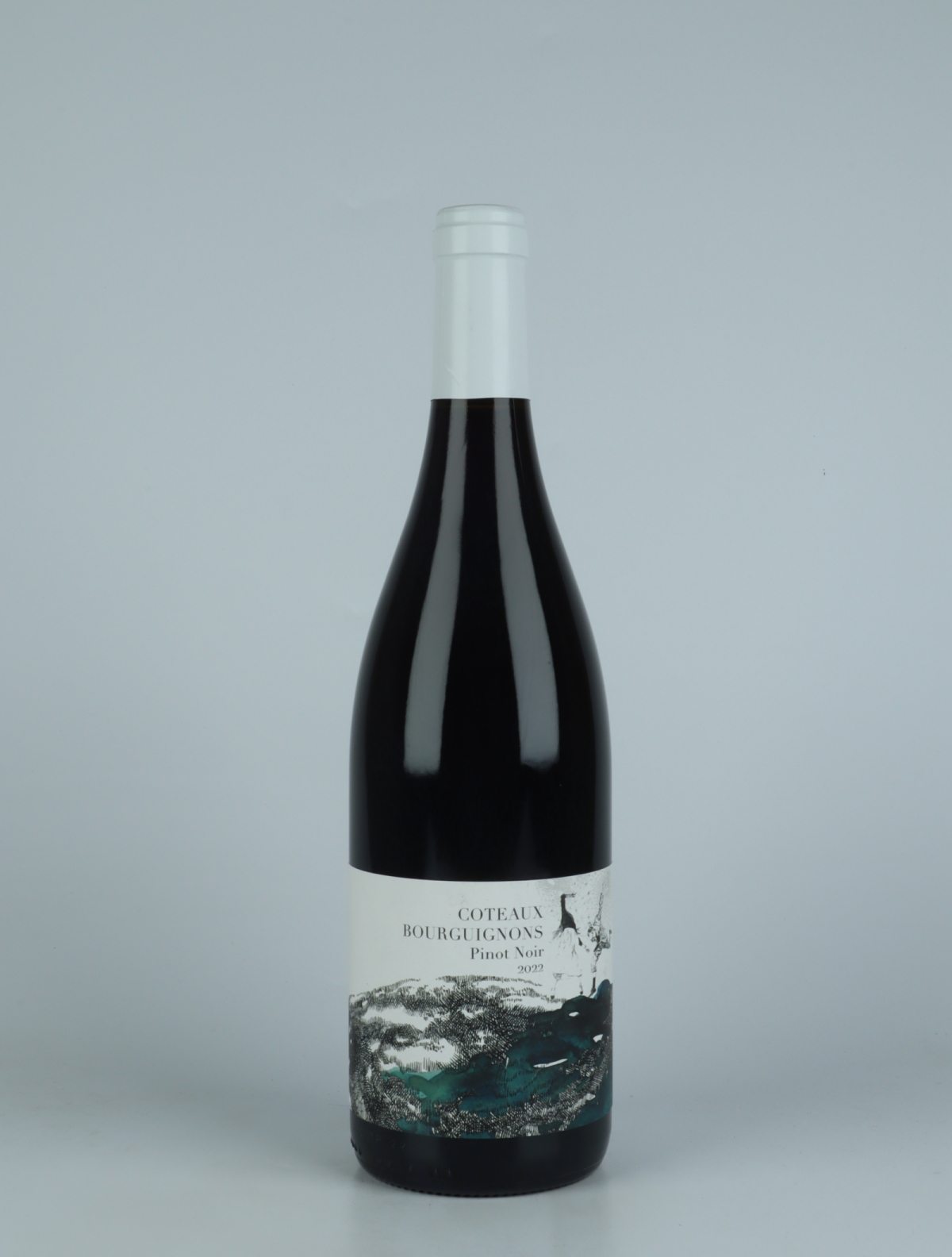 En flaske 2022 Coteaux Bourguignons - Pinot Noir Rødvin fra Domaine Didon, Bourgogne i Frankrig