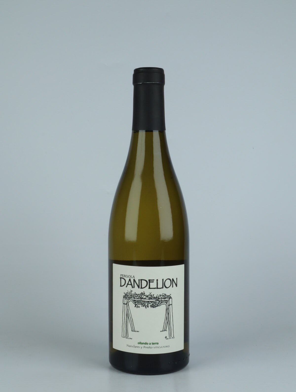 A bottle 2022 Dandelion White wine from Alberto Nanclares, Rias Baixas in Spain