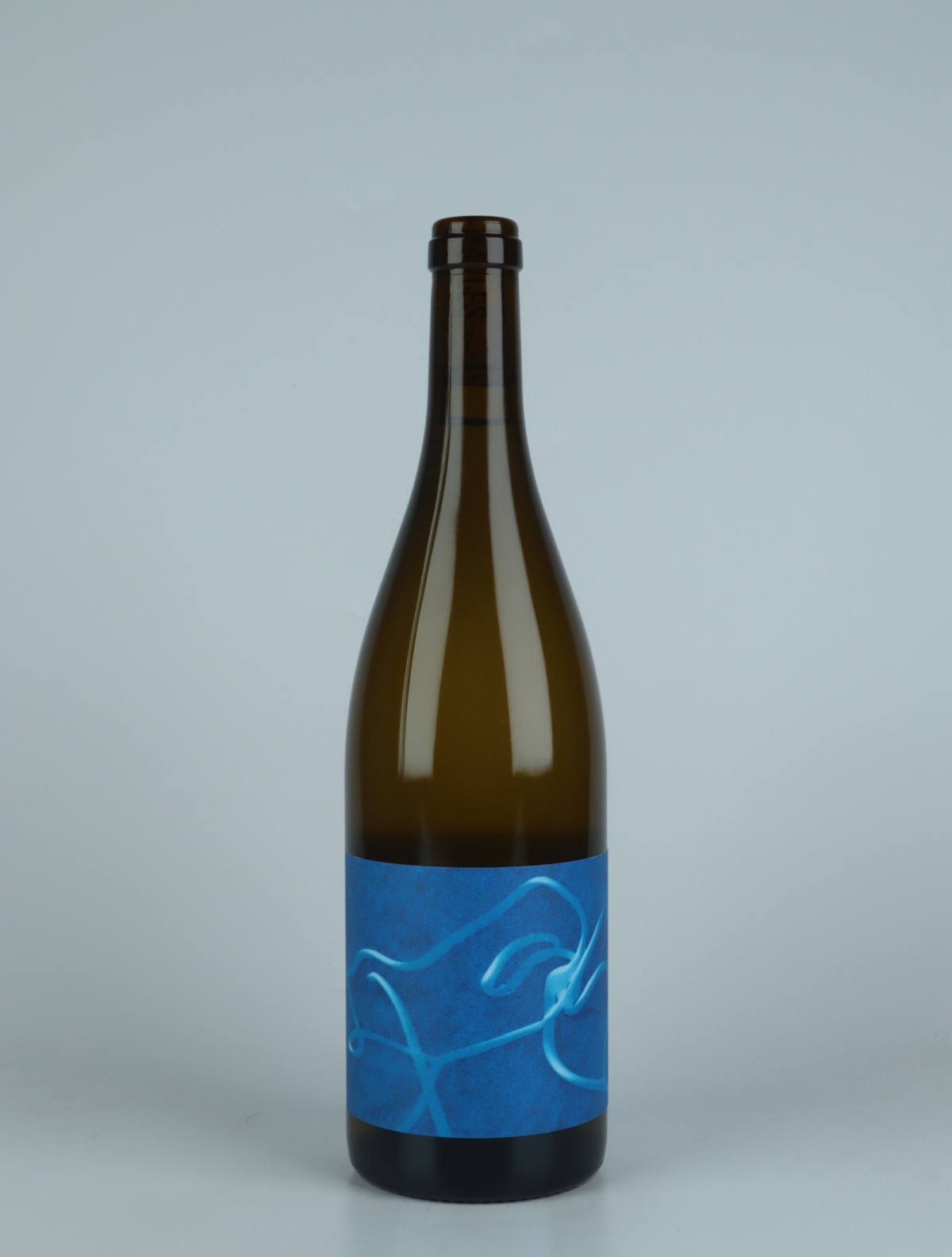 A bottle 2022 Les Vrilles White wine from Thomas Puéchavy, Loire in France