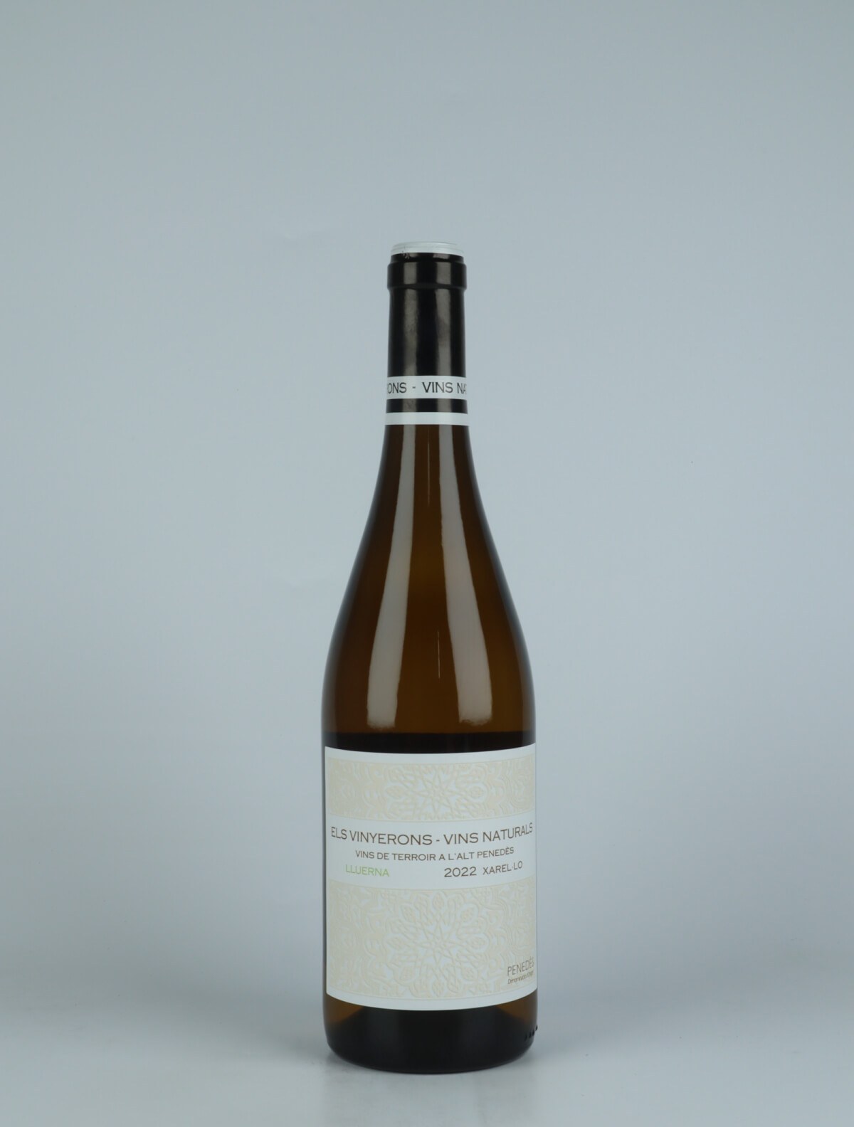 A bottle 2022 Lluerna White wine from Els Vinyerons, Penedès in Spain
