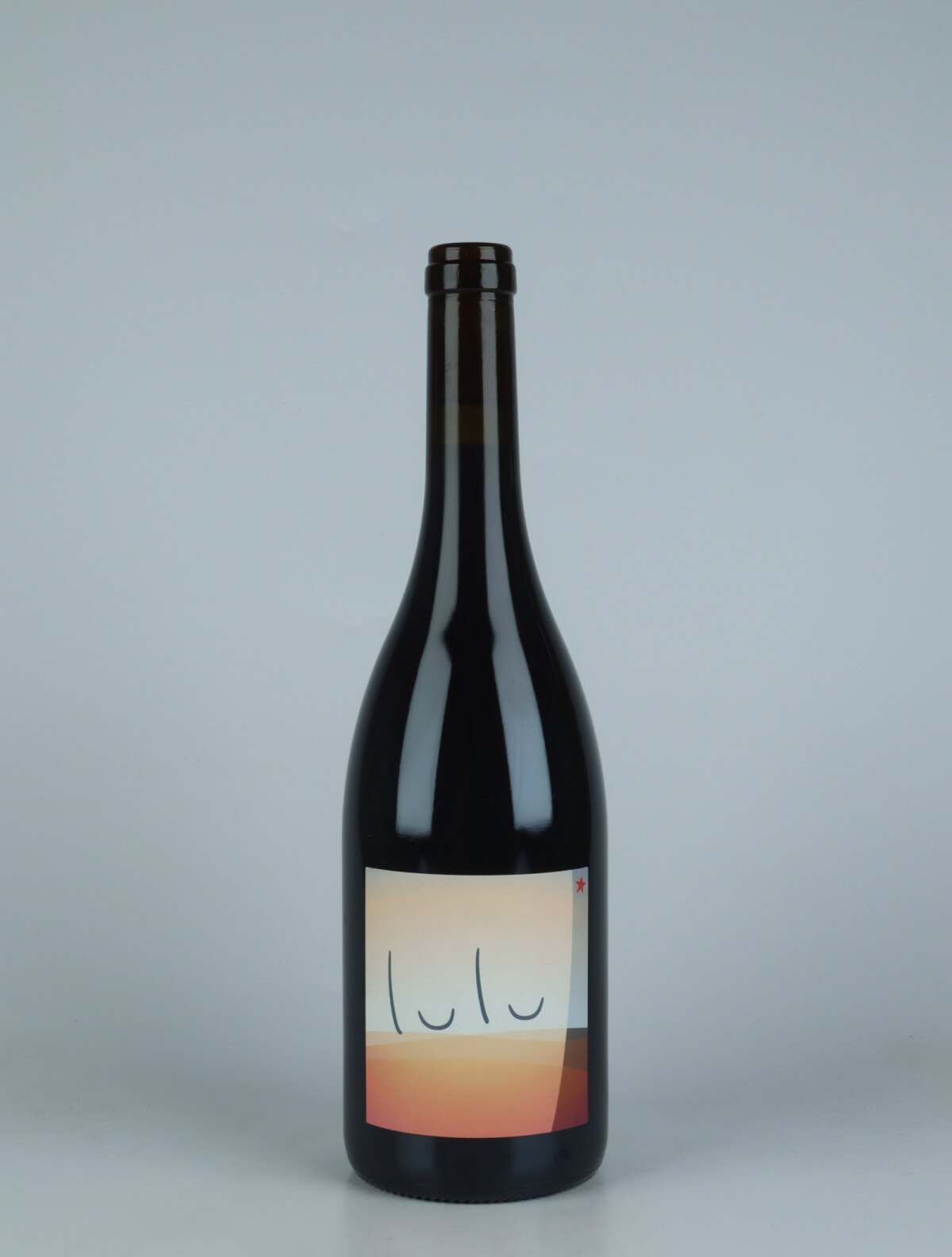 A bottle 2022 Lulu Red wine from Patrick Bouju, Auvergne in France