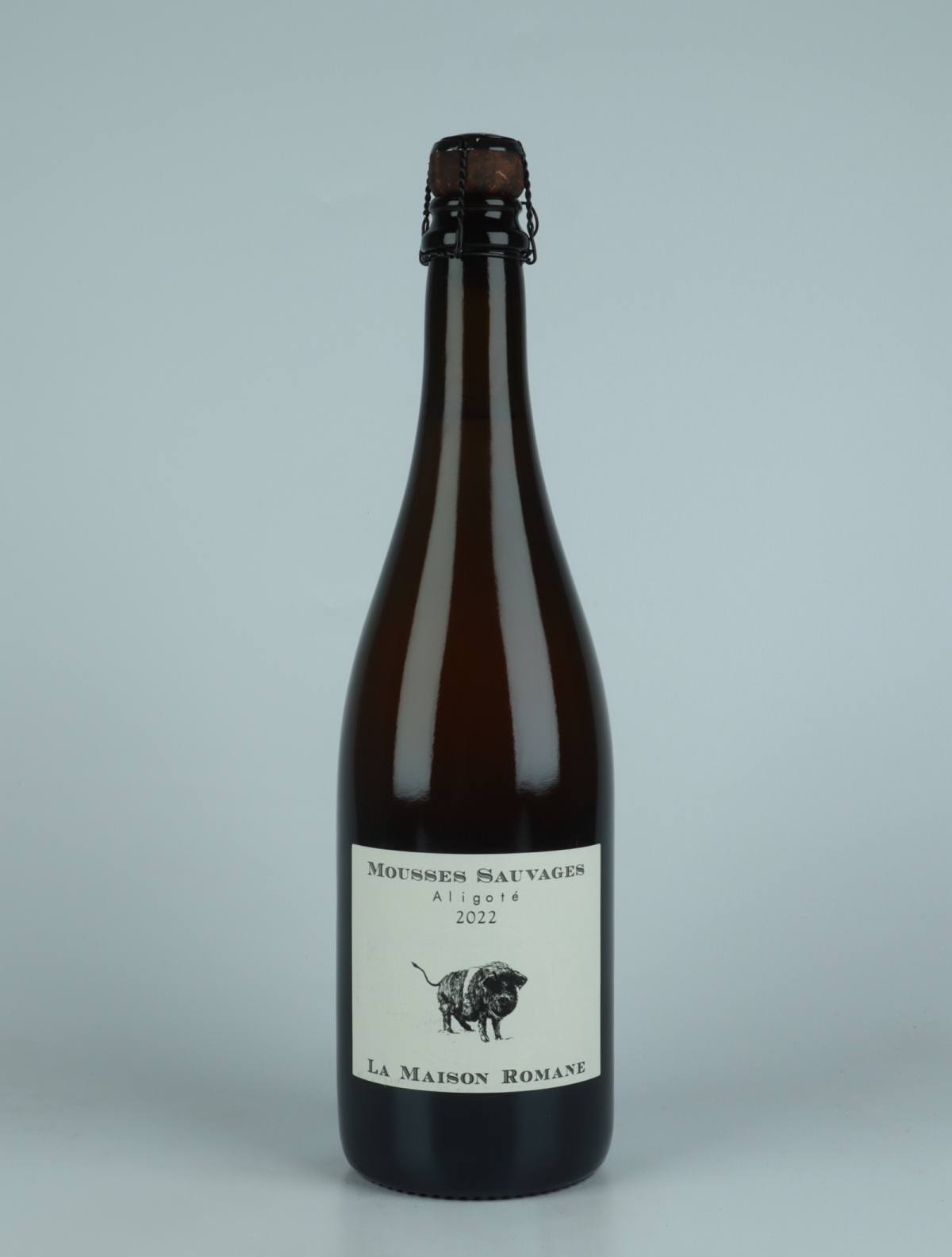 A bottle 2022 Mousses Sauvages Aligoté Beer from La Maison Romane, Burgundy in France