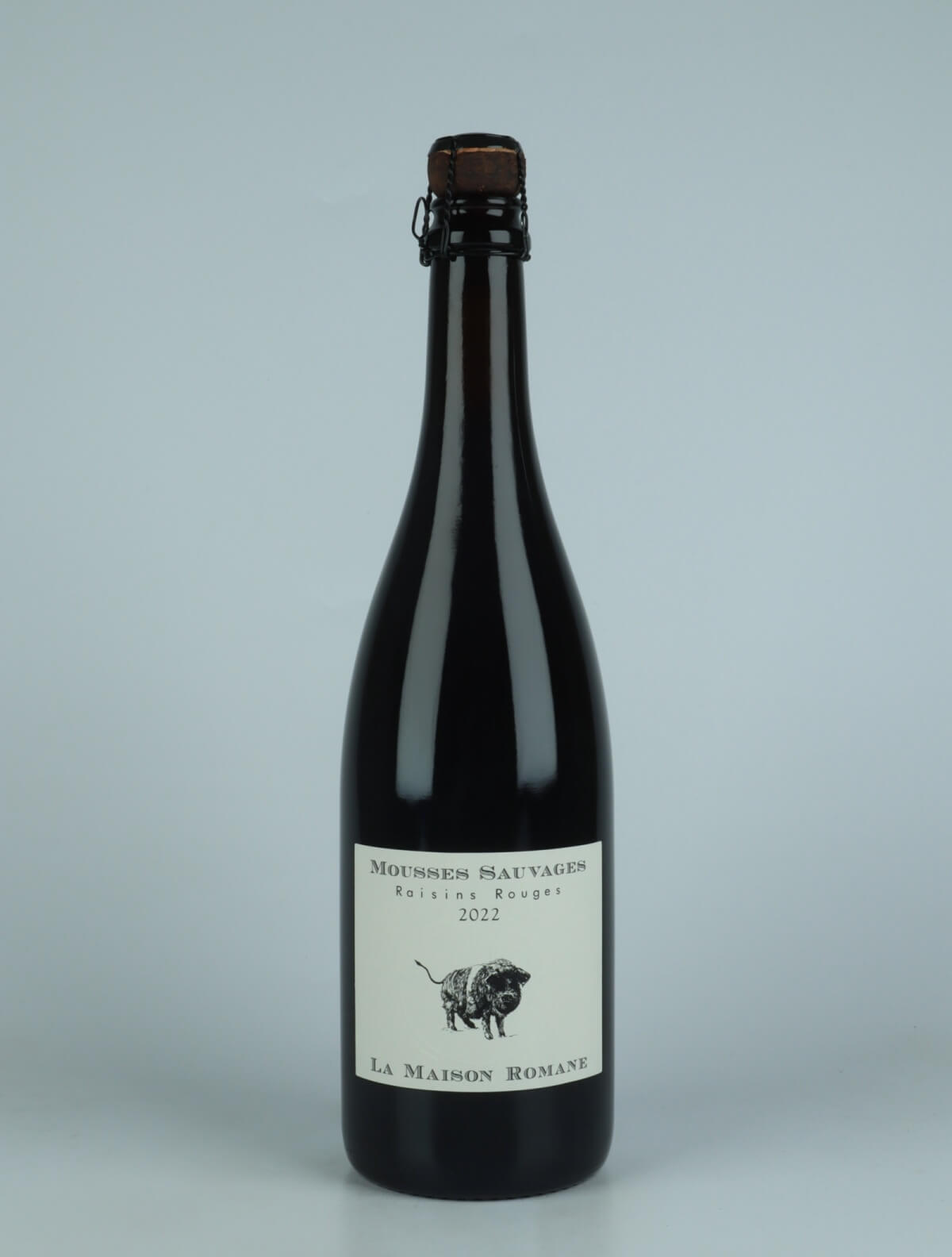 A bottle 2022 Mousses Sauvages Raisins Rouges Beer from La Maison Romane, Burgundy in France