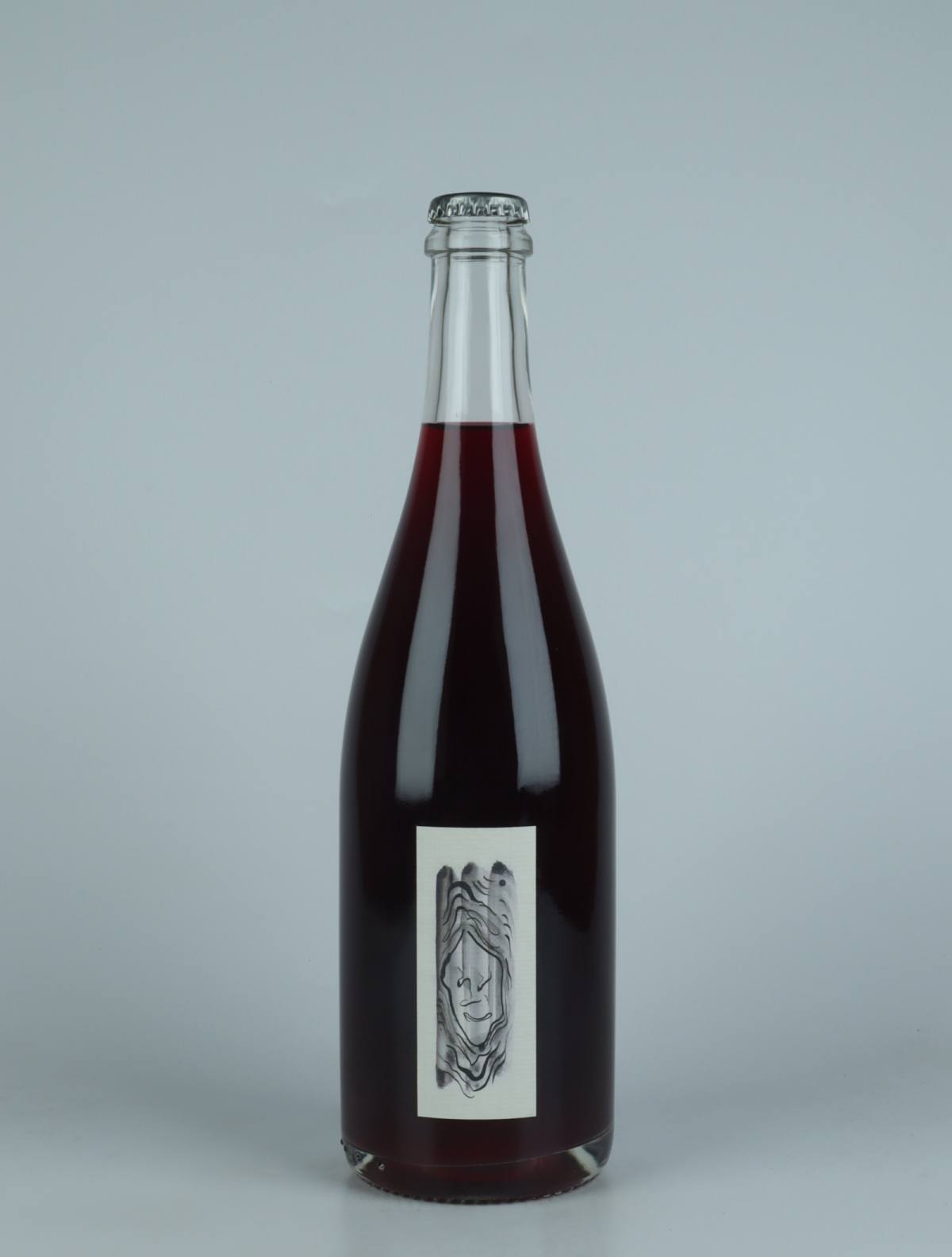 En flaske 2022 Penumbra Rødvin fra Absurde Génie des Fleurs, Languedoc i Frankrig