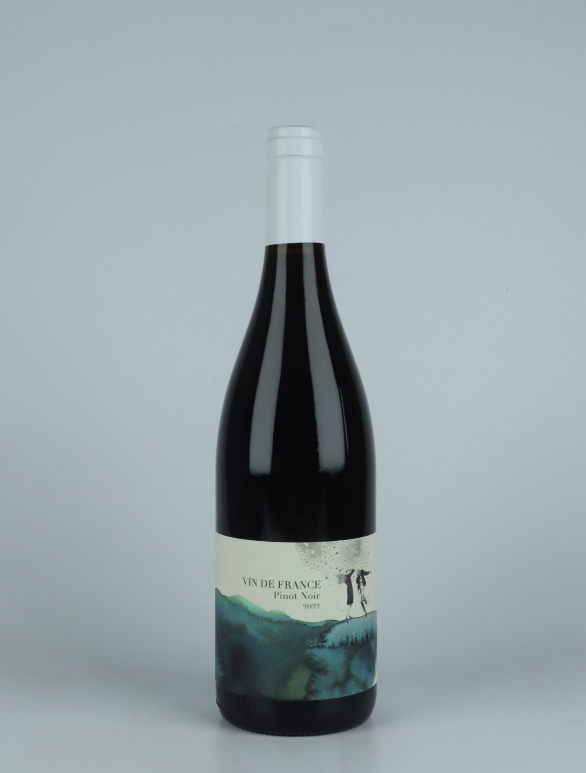 En flaske 2022 Pinot Noir Rødvin fra Domaine Didon, Bourgogne i Frankrig