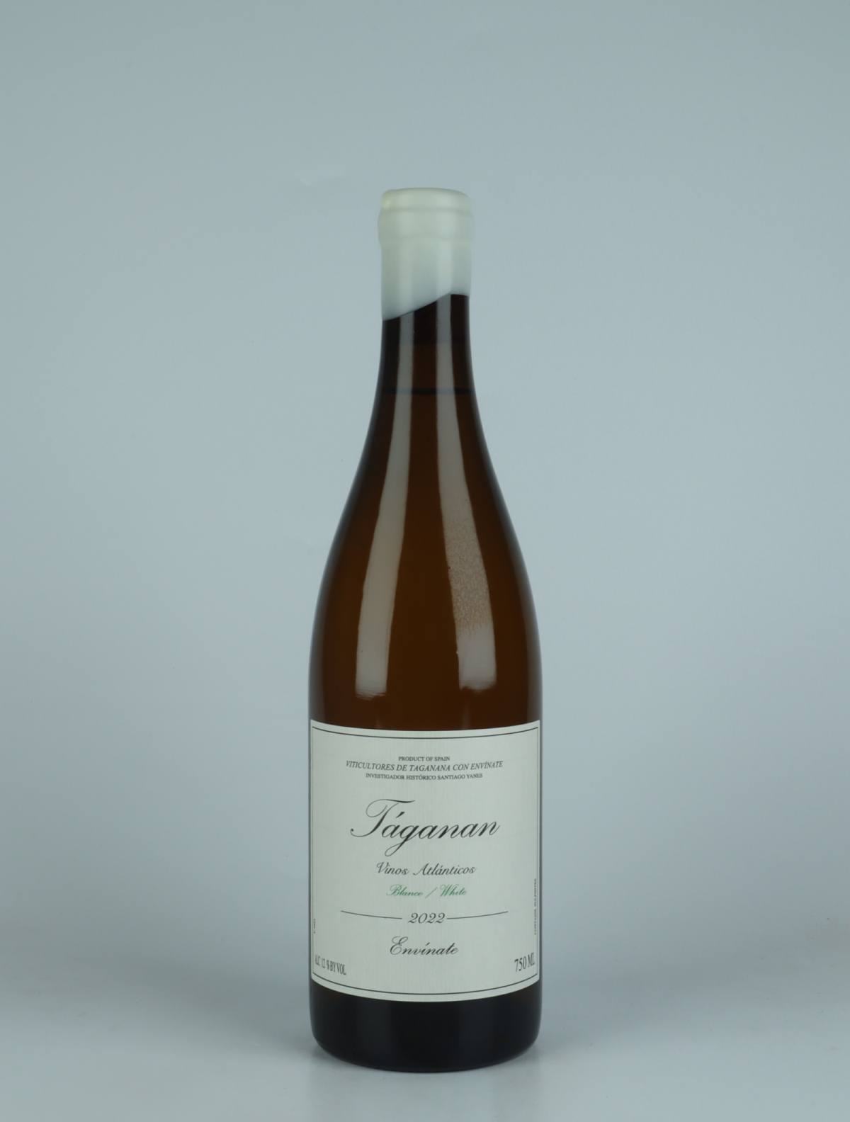 A bottle 2022 Taganan Blanco - Tenerife White wine from Envínate,  in Spain
