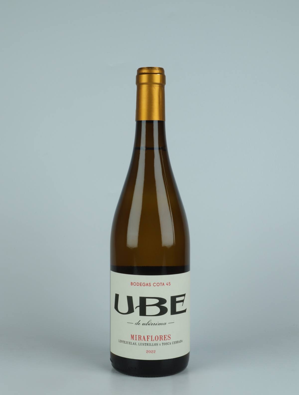 A bottle 2022 UBE Miraflores White wine from Bodegas Cota 45, Andalucia in Spain