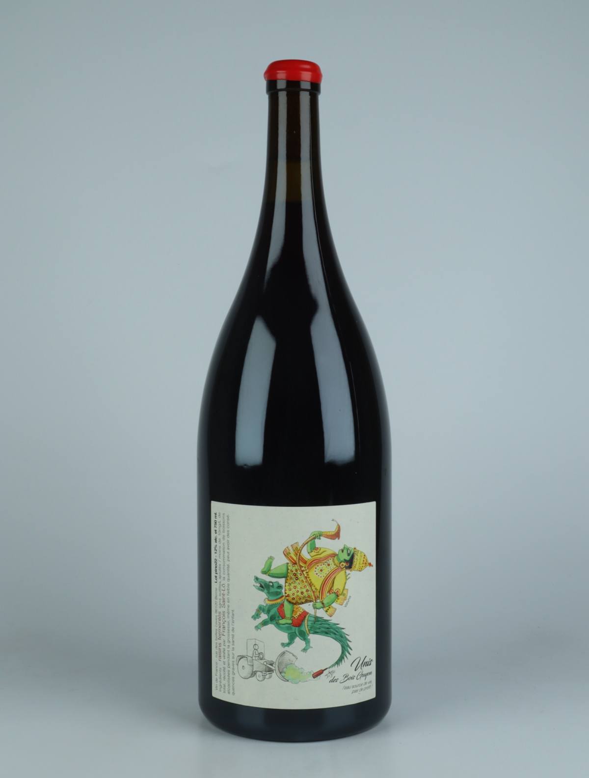 En flaske 2022 Unis des Bois Guyon - Magnum Rødvin fra François Saint-Lô, Loire i Frankrig