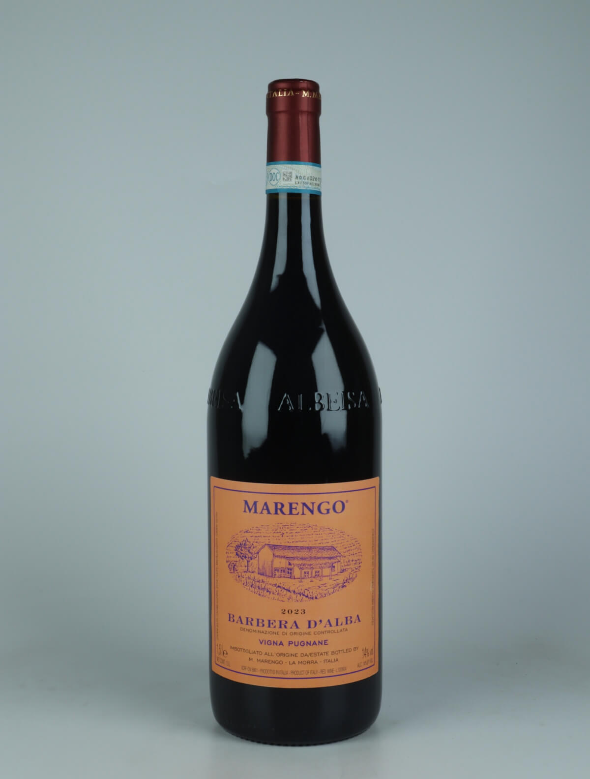 A bottle 2023 Barbera d'Alba - Pugnane - Magnum Red wine from Mario Marengo, Piedmont in Italy